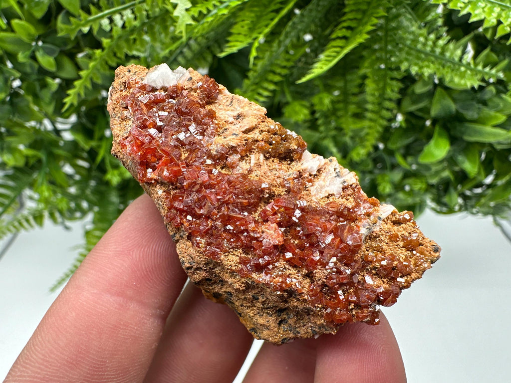 Red Vanadinite Crystal Cluster on Barite Matrix, Morocco Mineral Specimen