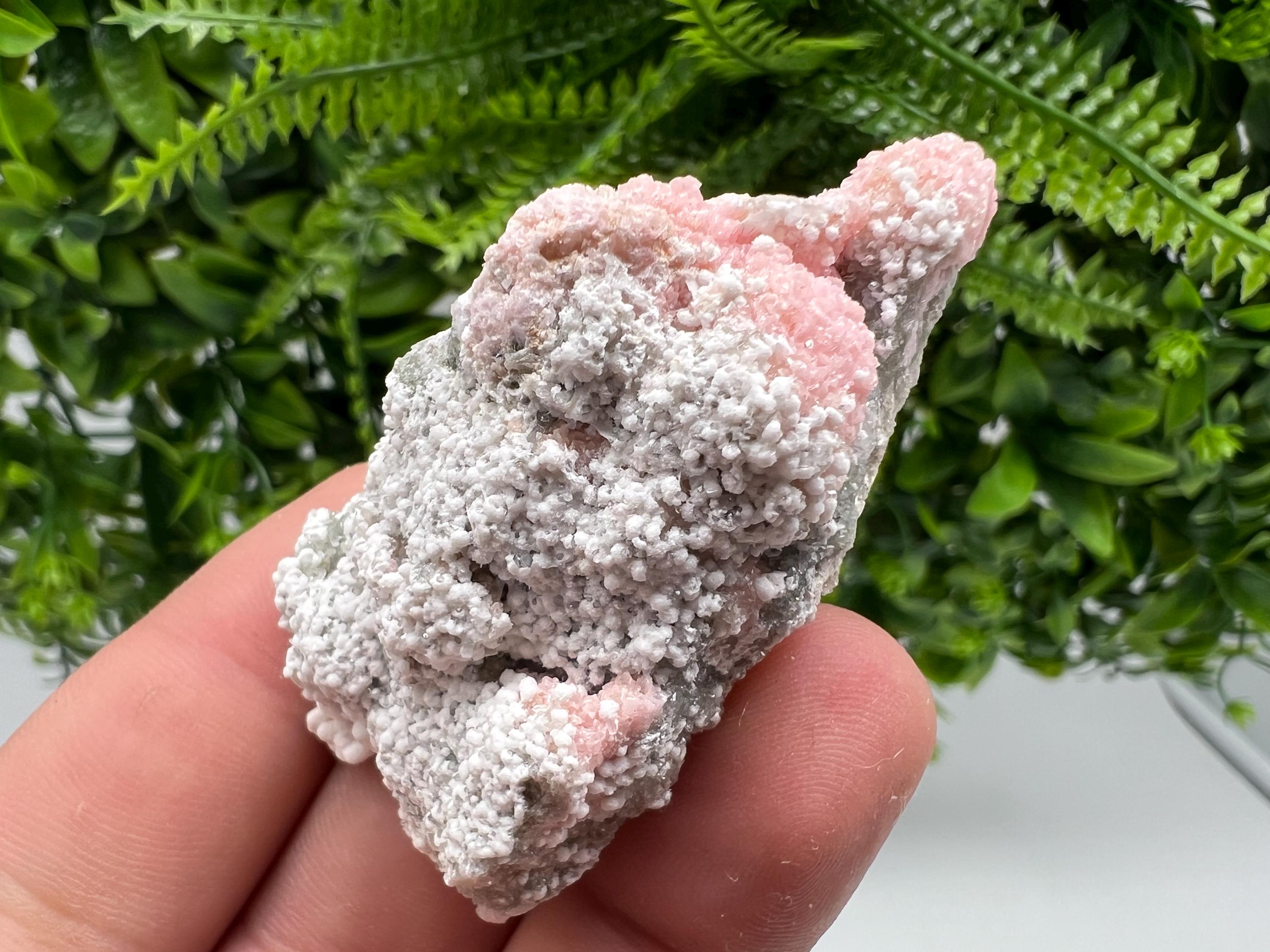 RARE Rhodochrosite with White Calcite, Starnica Mine Bulgaria