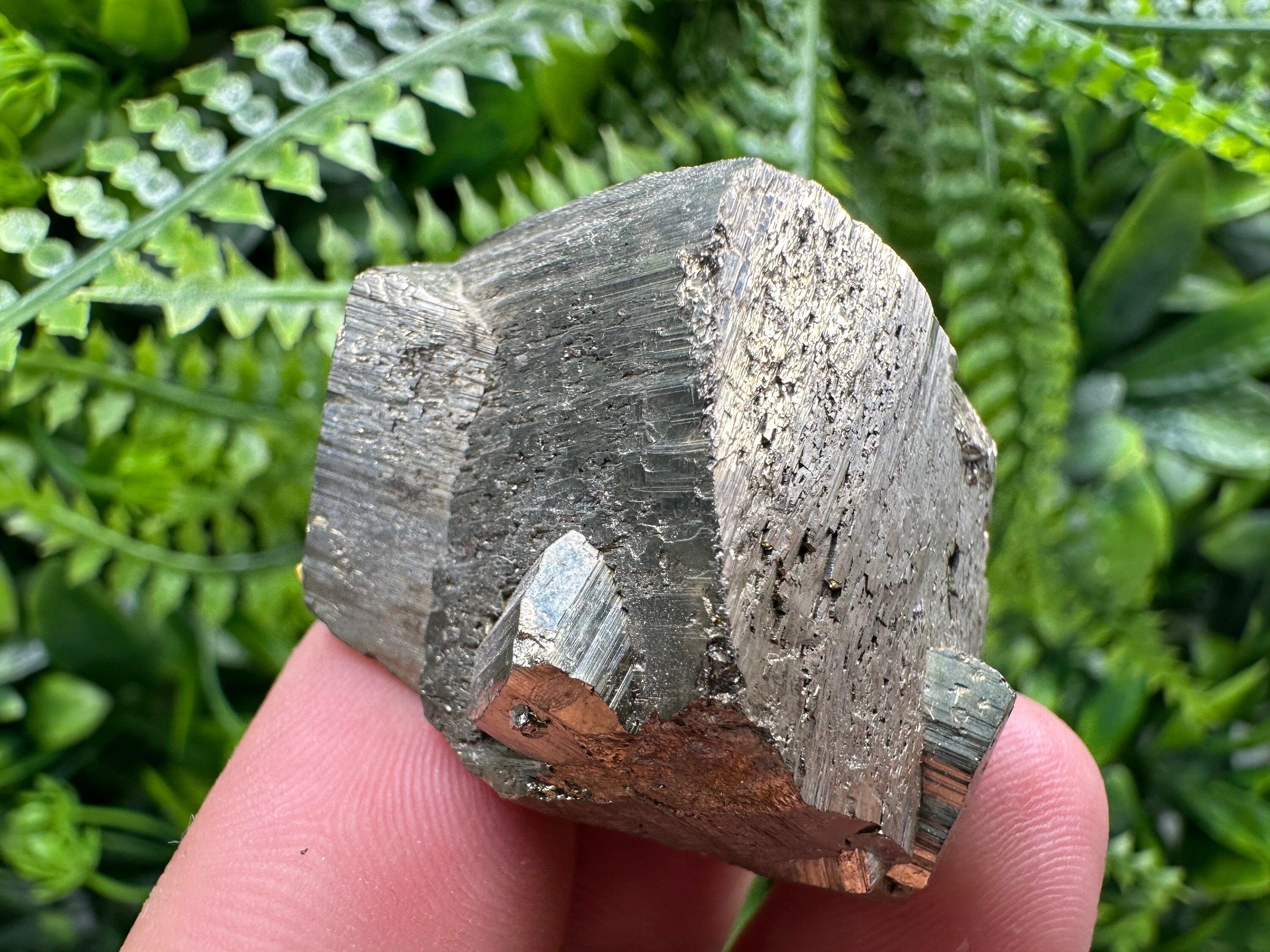 Natural Pyrite Crystal, Shiny Fool's Gold Mineral, Borieva Mine