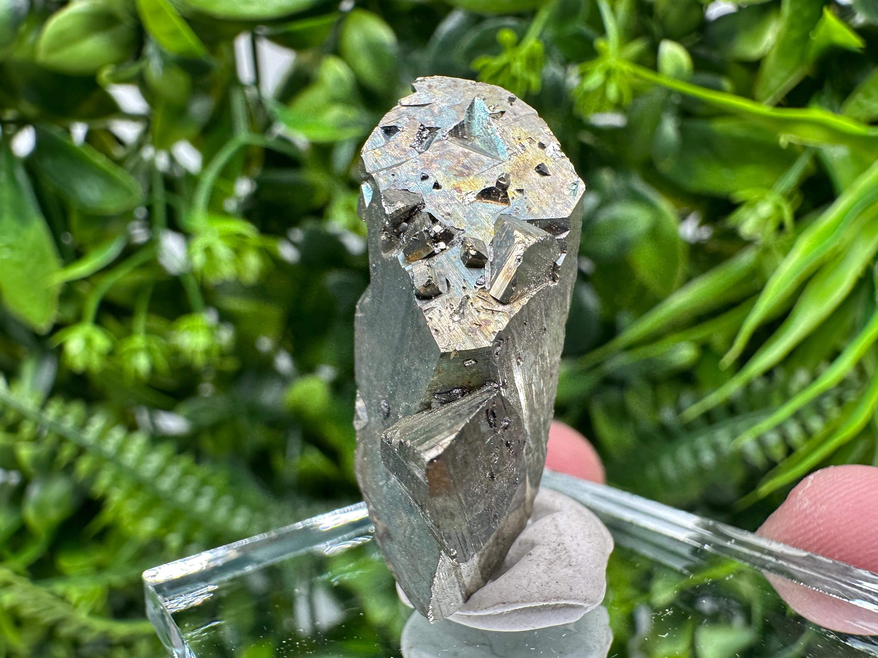 Rare Mini Pyrite Cluster: Borieva Mine, Bulgaria
