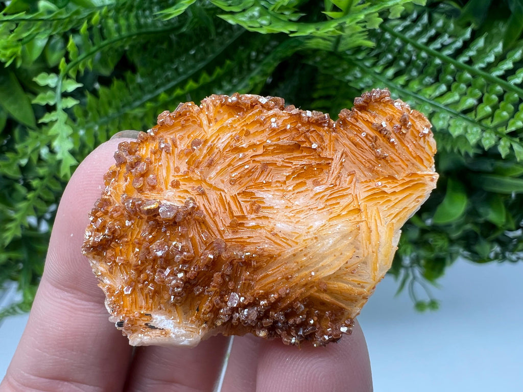 Red Vanadinite Crystal on Barite Matrix, Morocco Mineral Specimen
