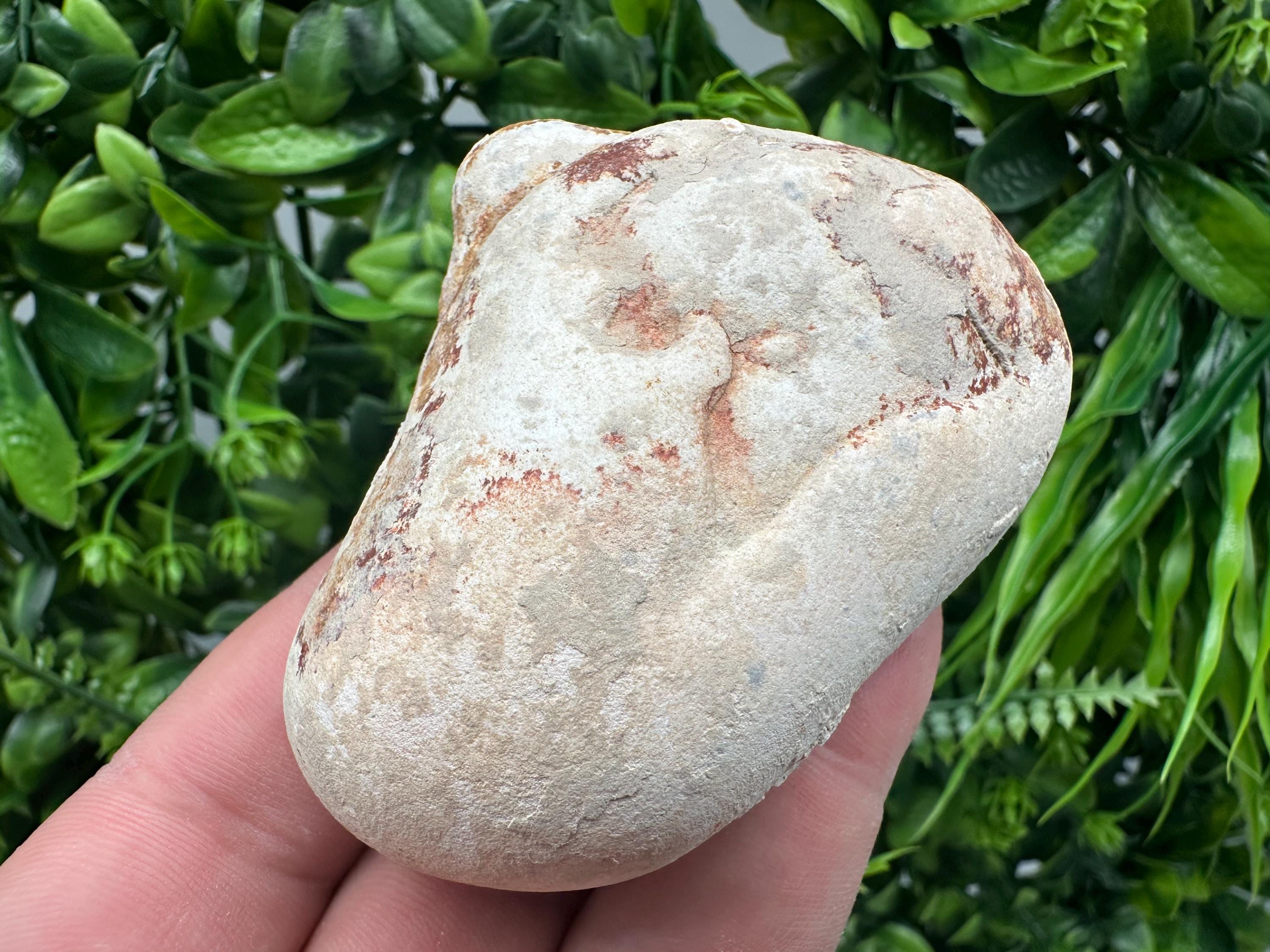 Menalite Crystal: White Fairy Stone, Moroccan A+ Grade