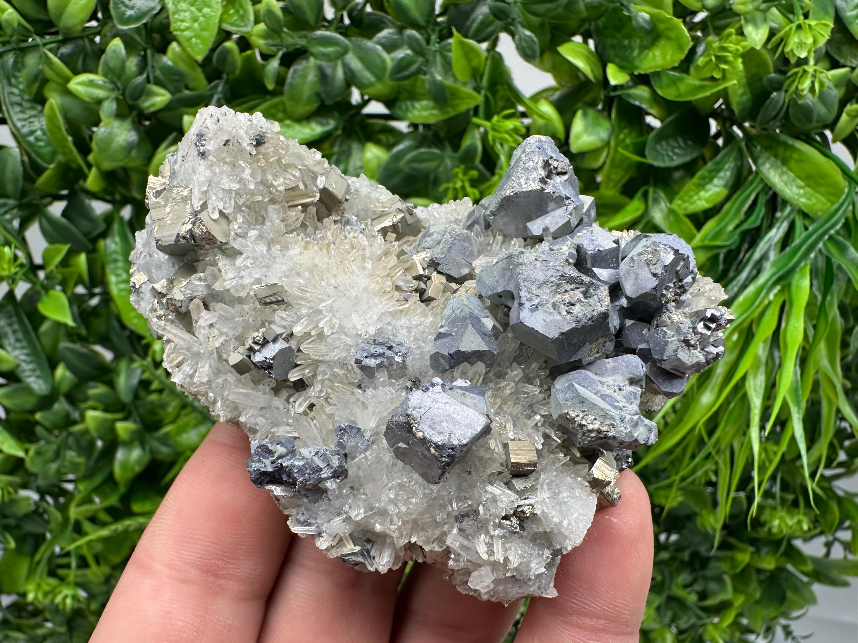 Galena Sphalerite Chalcopyrite Quartz Mineral Specimen: Djurcovo Mine, Bulgaria