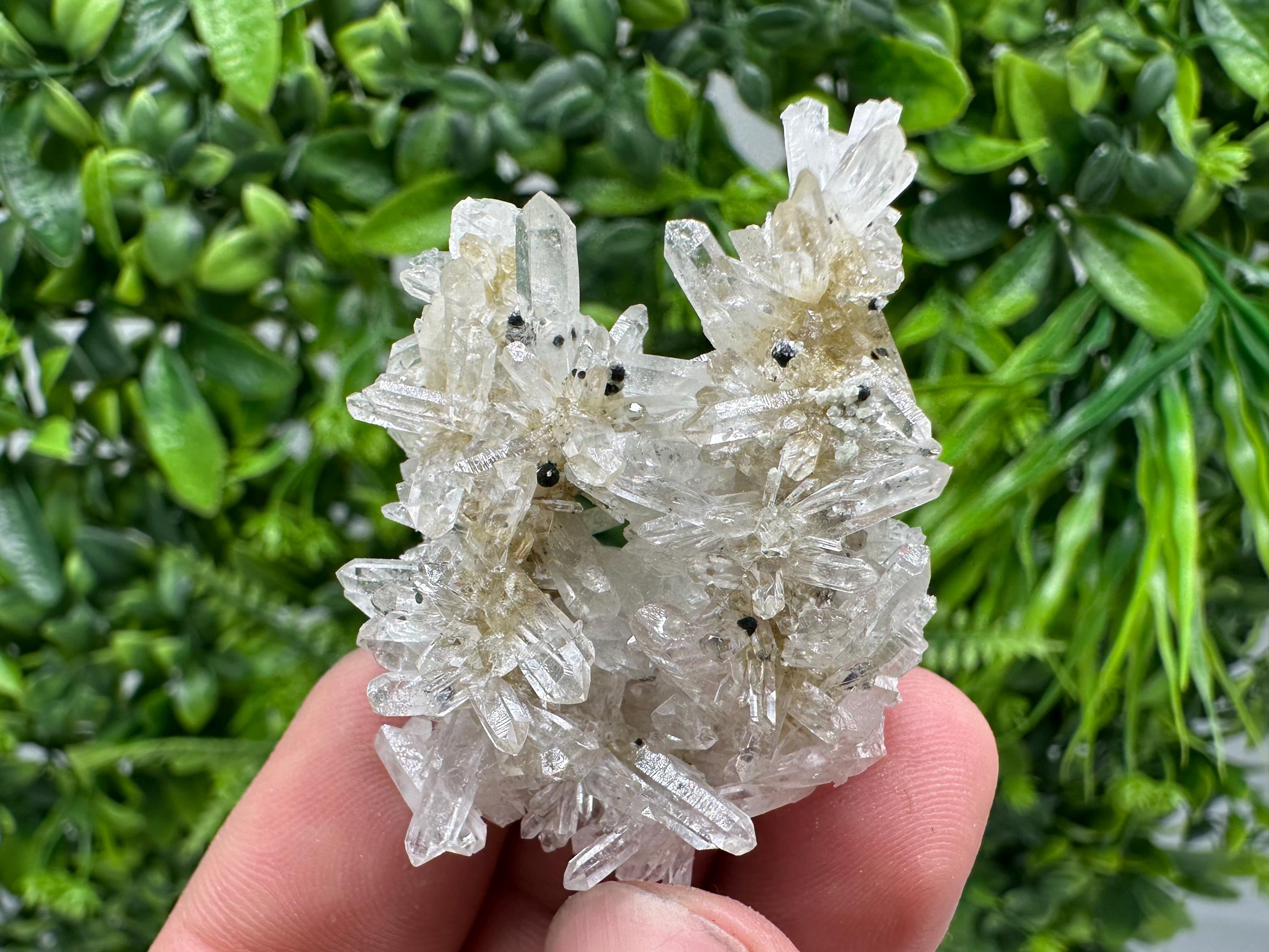 Transparent Quartz Crystal Specimen: Djurcovo Mine, Bulgaria
