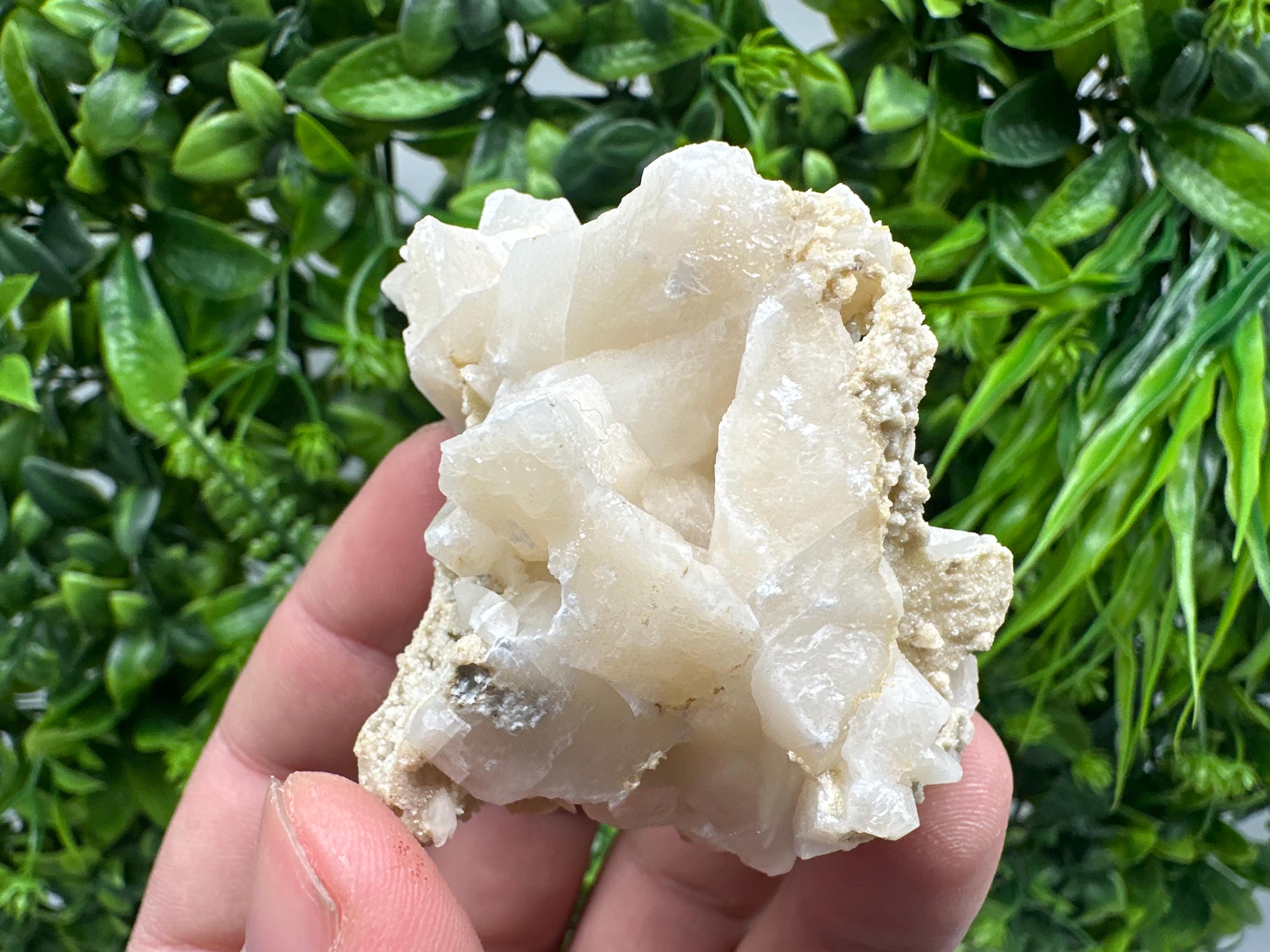 Calcite on Green Quartz: Djurcovo Mine, Bulgaria Crystal