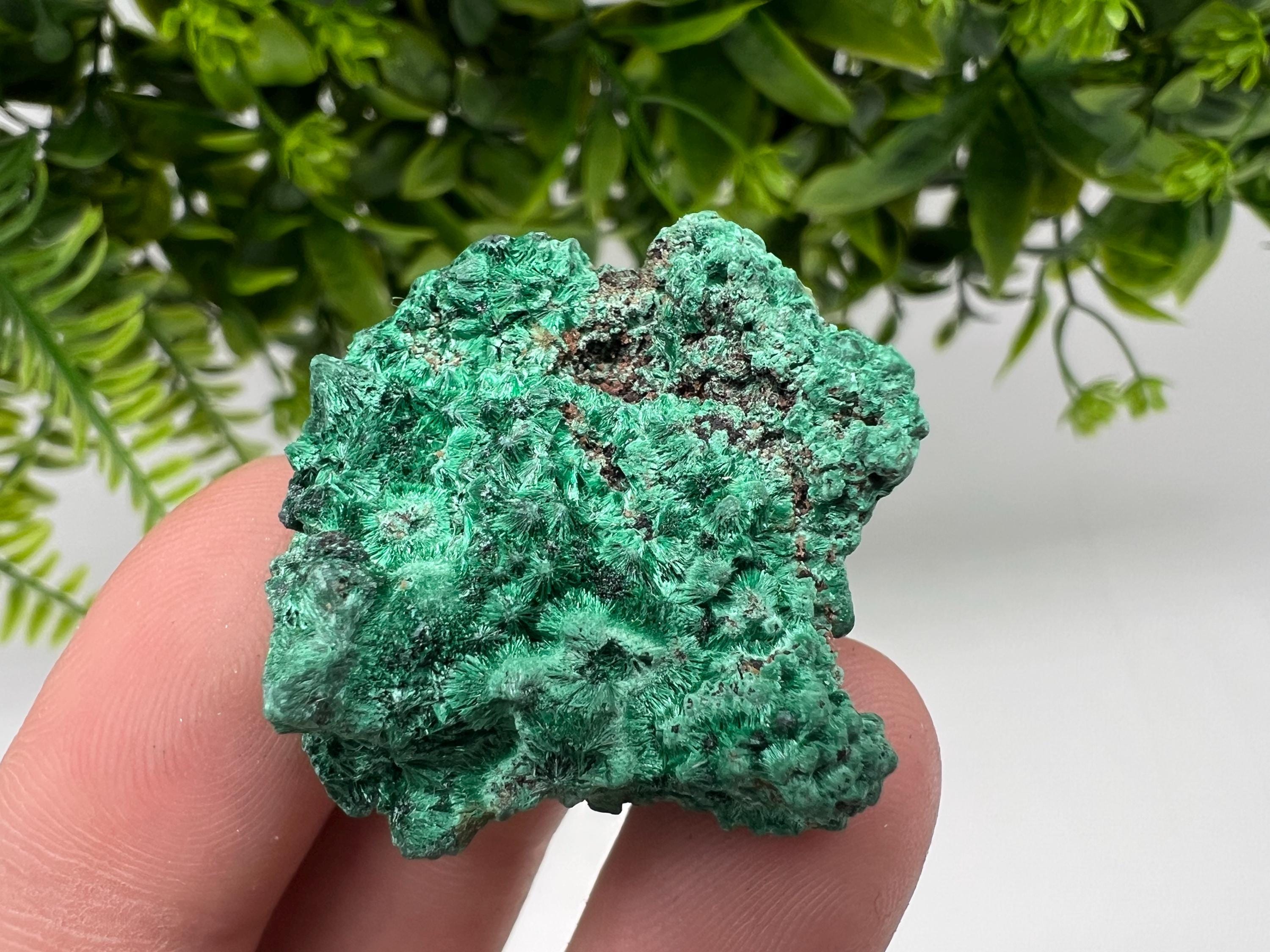 Malachite Crystal from Congo,Minerals,Crystals from Congo,Green Malachite, Malachite,Natural Malachite,Malachite Stone,Chakra, Specimens