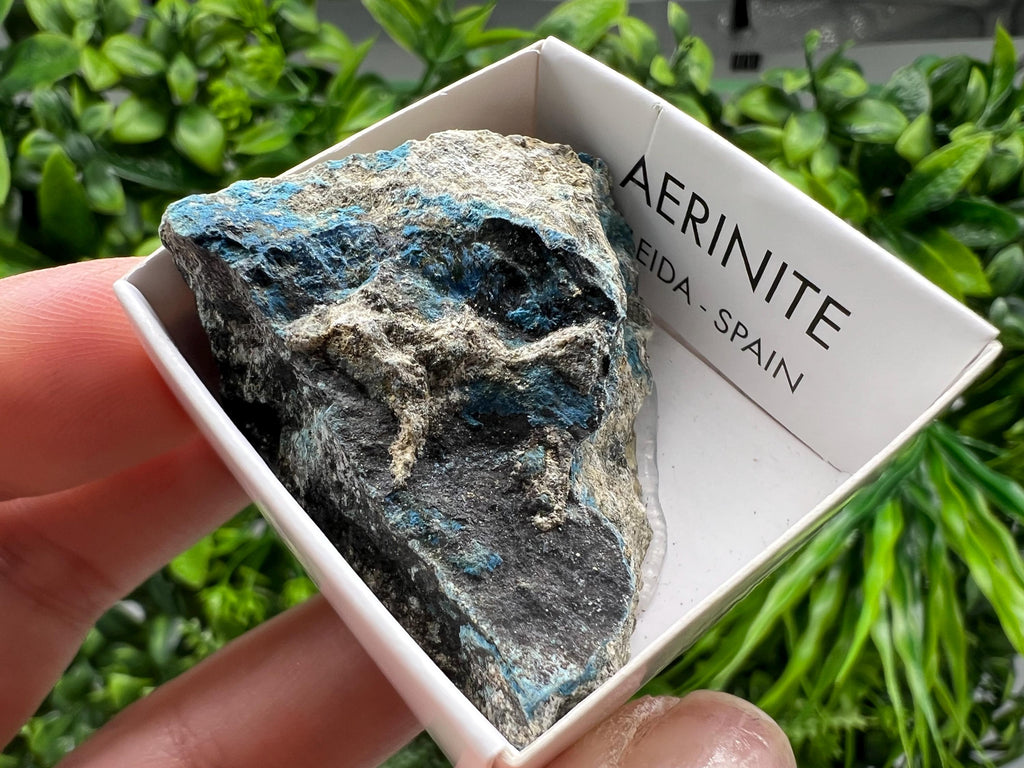 Rare Raw Aerinite Specimen: Lleida Spain Mineral Collection (4.5/4 CM)