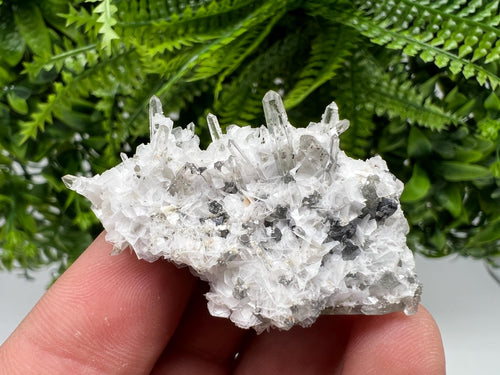 Calcite Quartz on Chlorite Matrix, Borieva Mine Mineral Specimen
