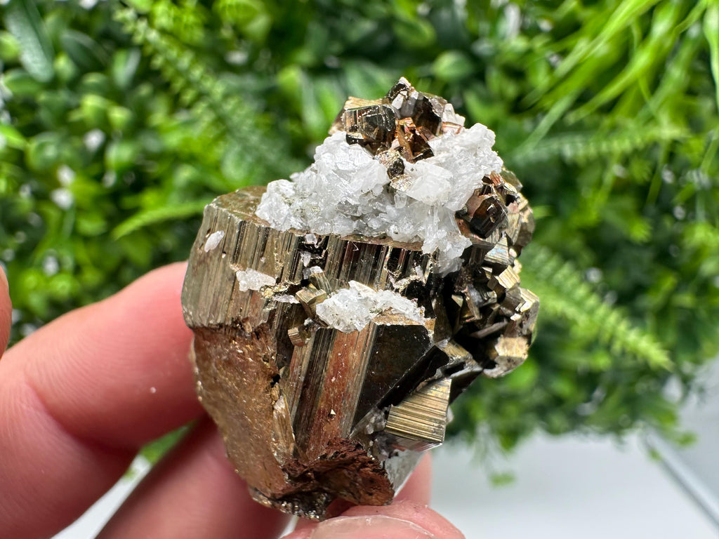 Rainbow Pyrite Cluster: Bulgarian Mineral Specimen, Home Decor Gift
