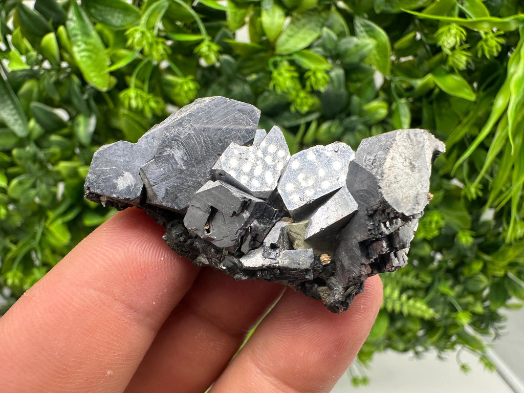 Skeletal Shiny Galena Mineral Crystal: Borieva Bulgaria Home Decor
