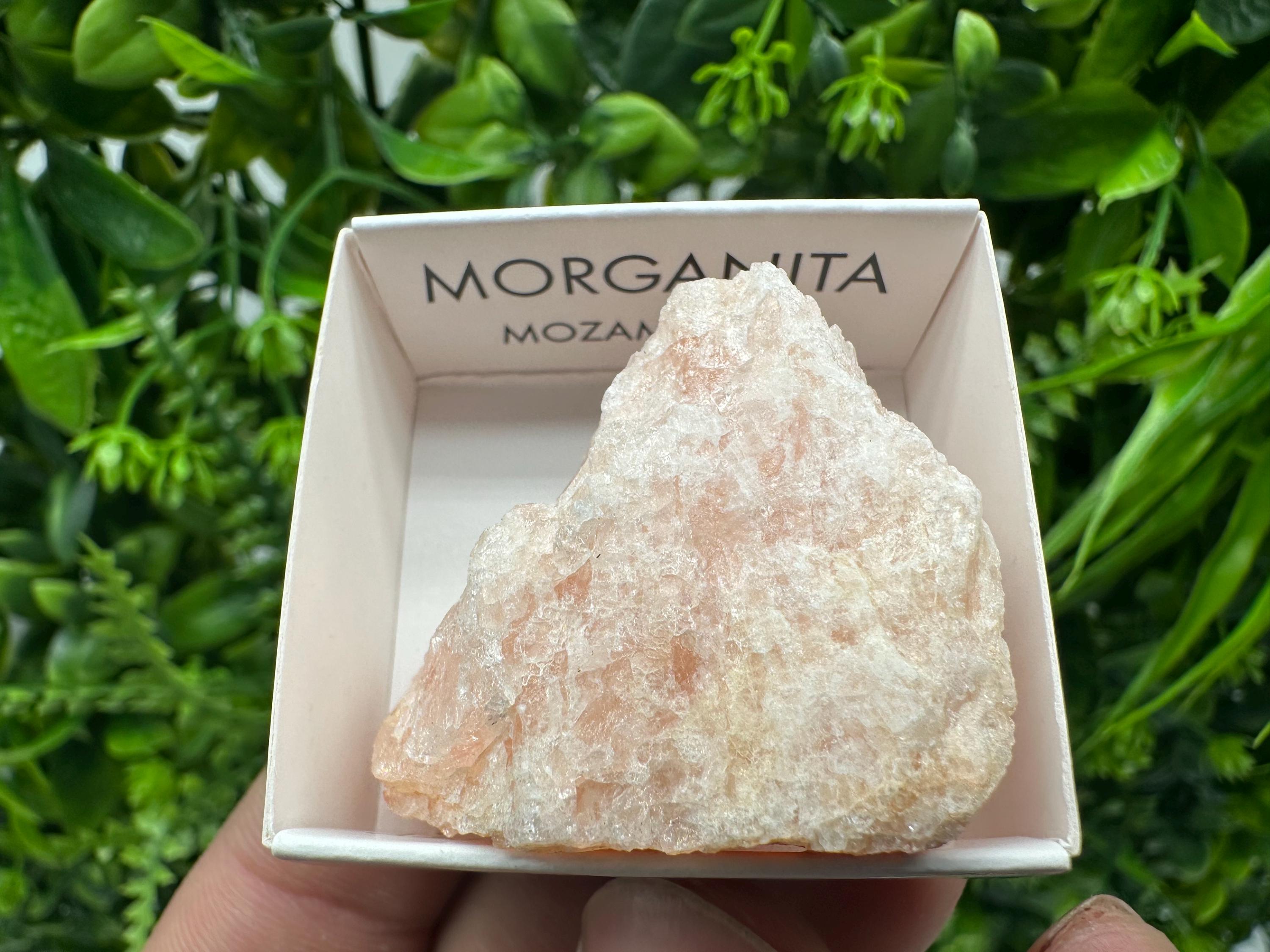 Rare Raw Morganite Mineral Specimen: Mozambique Crystal (4/4 cm)