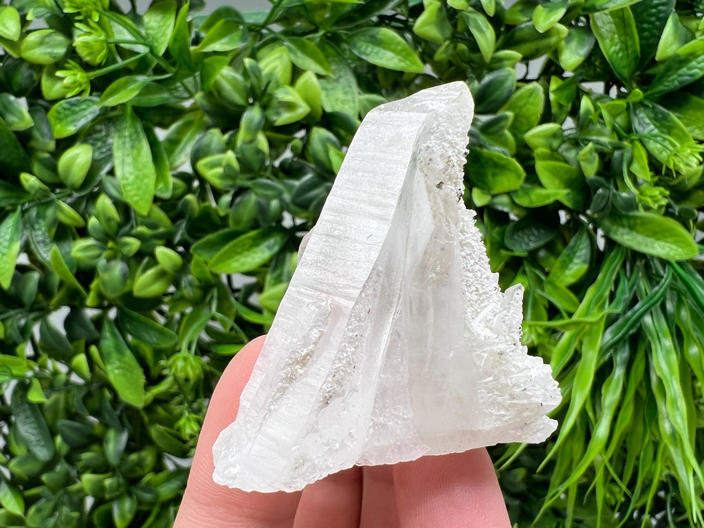 Transparent Quartz on Chlorite Matrix, Borieva Mine, Bulgaria