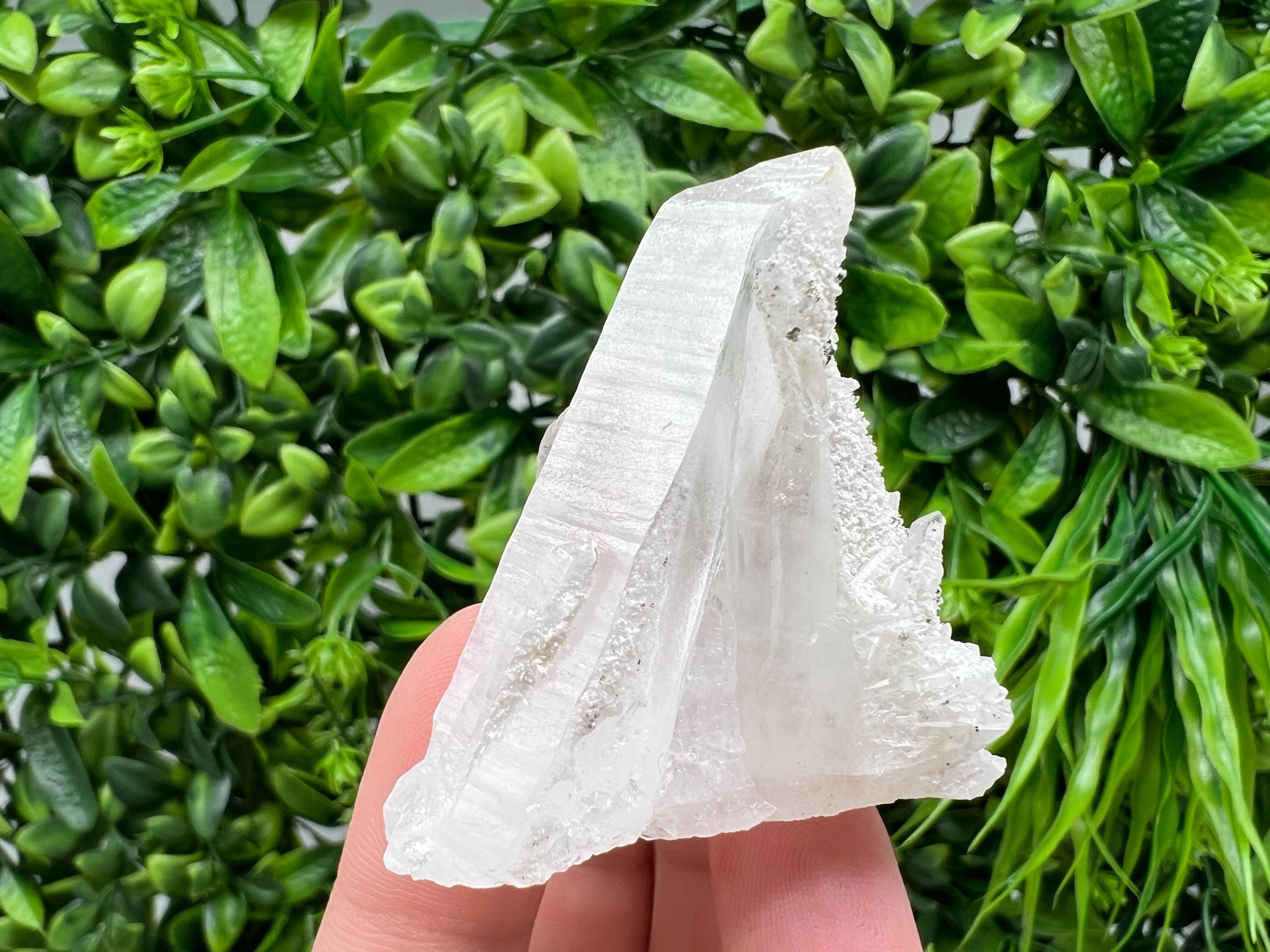 Transparent Quartz on Chlorite Matrix, Borieva Mine, Bulgaria