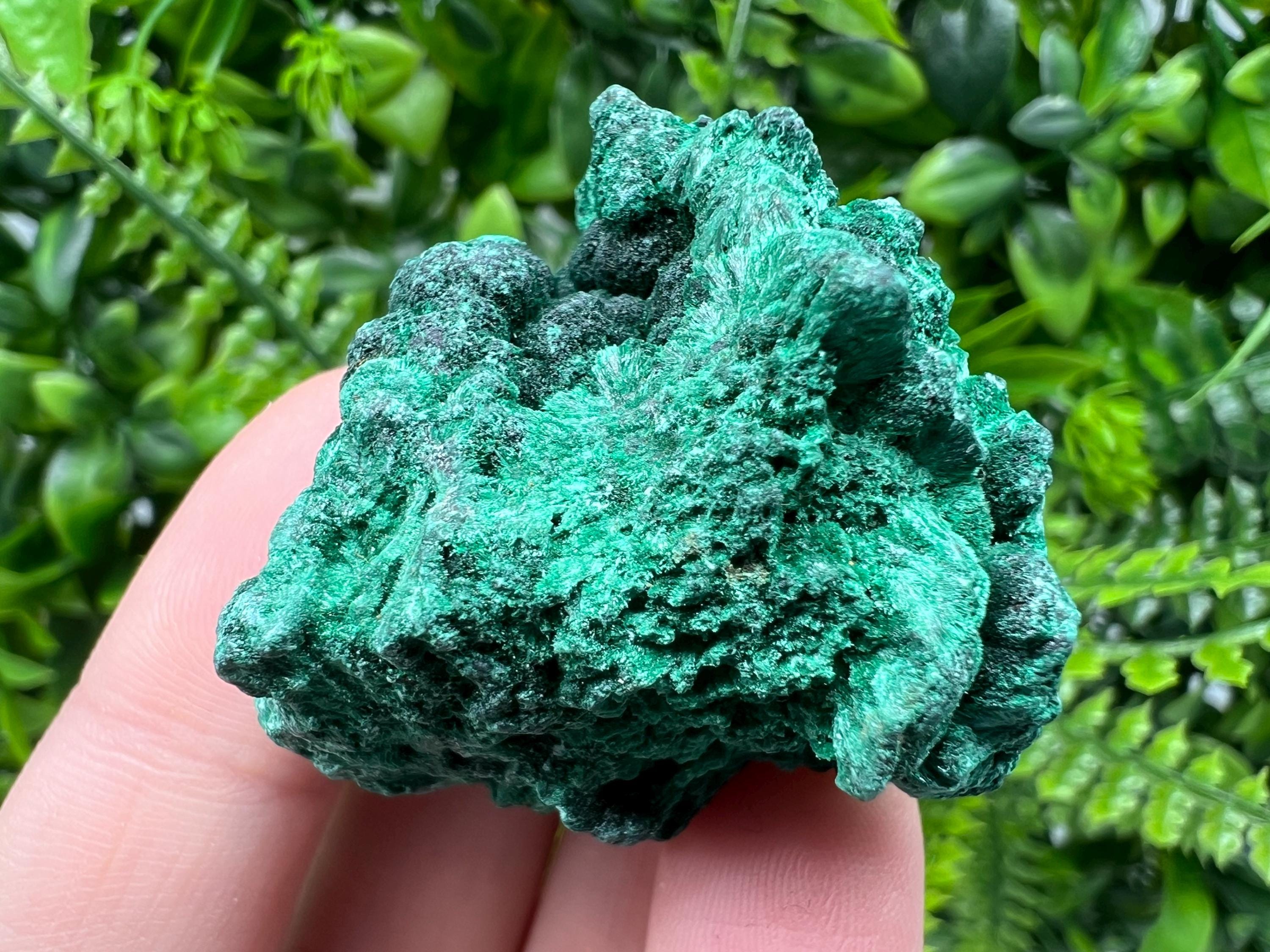 Malachite Crystal from Congo,Minerals,Crystals from Congo,Green Malachite, Malachite,Natural Malachite,Malachite Stone,Chakra, Specimens