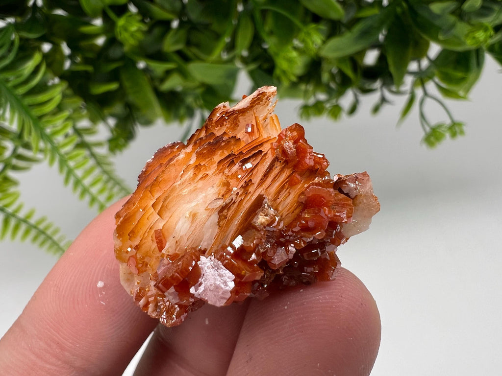 Red Vanadinite on Barite from Marocco,crystal minerals Speciment cluster Vanadinite crystal Vanadinite Geology Vanadinite cluster minerals