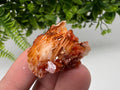 Red Vanadinite on Barite from Marocco,crystal minerals Speciment cluster Vanadinite crystal Vanadinite Geology Vanadinite cluster minerals