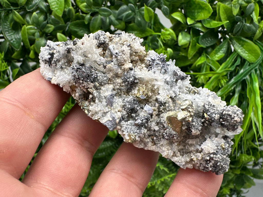 Chalcopyrite Galena on Quartz with Chlorite, Borieva Mine