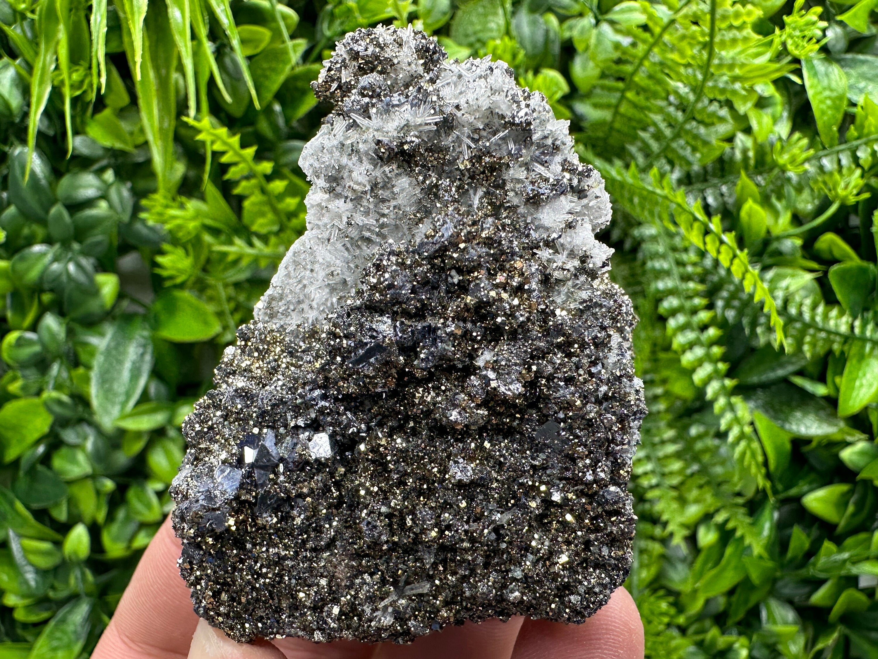 Galena Pyrite on Quartz Crystal Cluster - Borieva Mine, Bulgaria