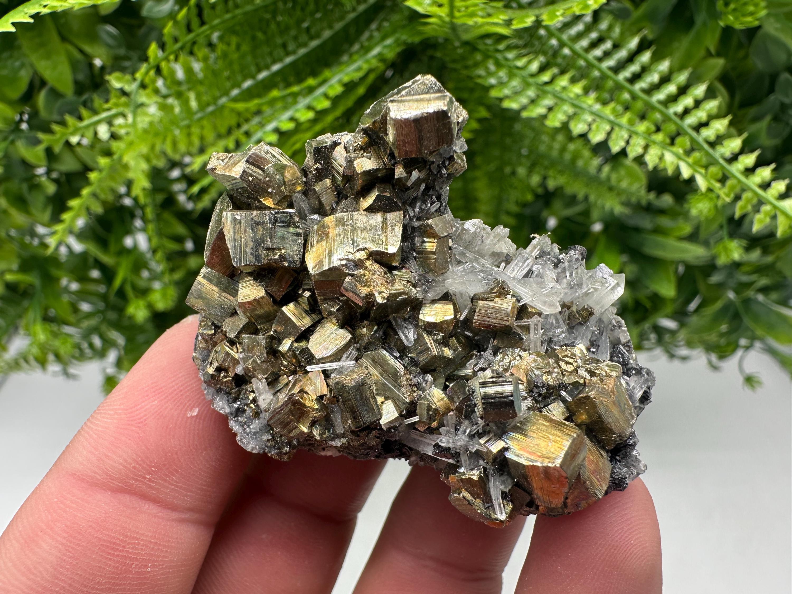 Rainbow Pyrite & Sphalerite on Quartz: Natural Crystal Decor
