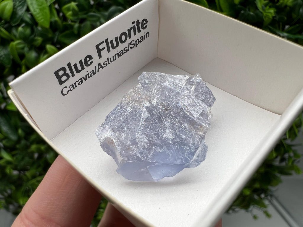 Blue Fluorite Mineral Specimen: Spain Collection (3/2.5 cm
