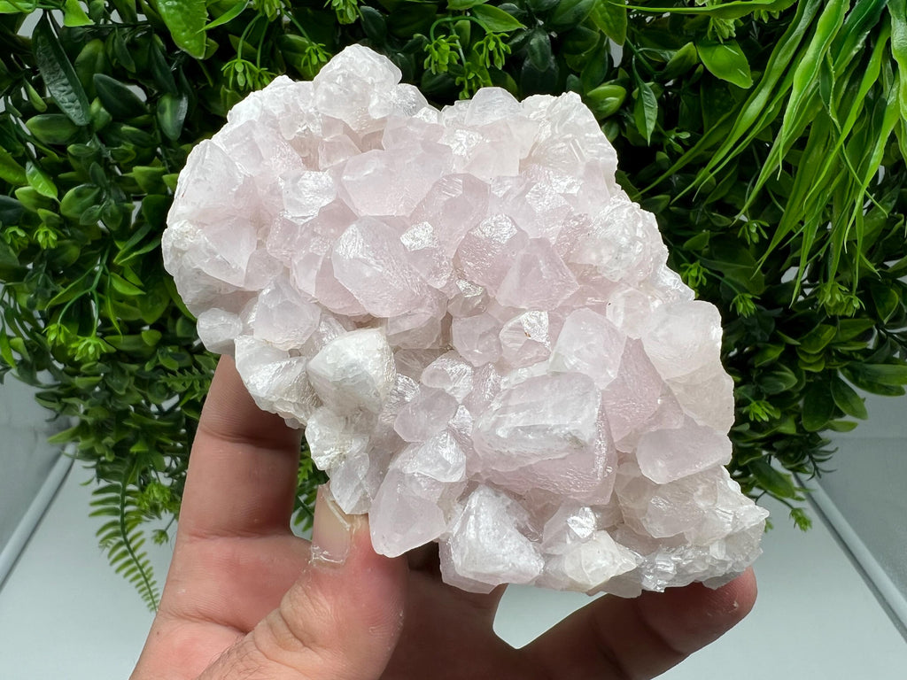 UV Reactive Mangano Calcite Crystal: Androvo Mine, Bulgaria