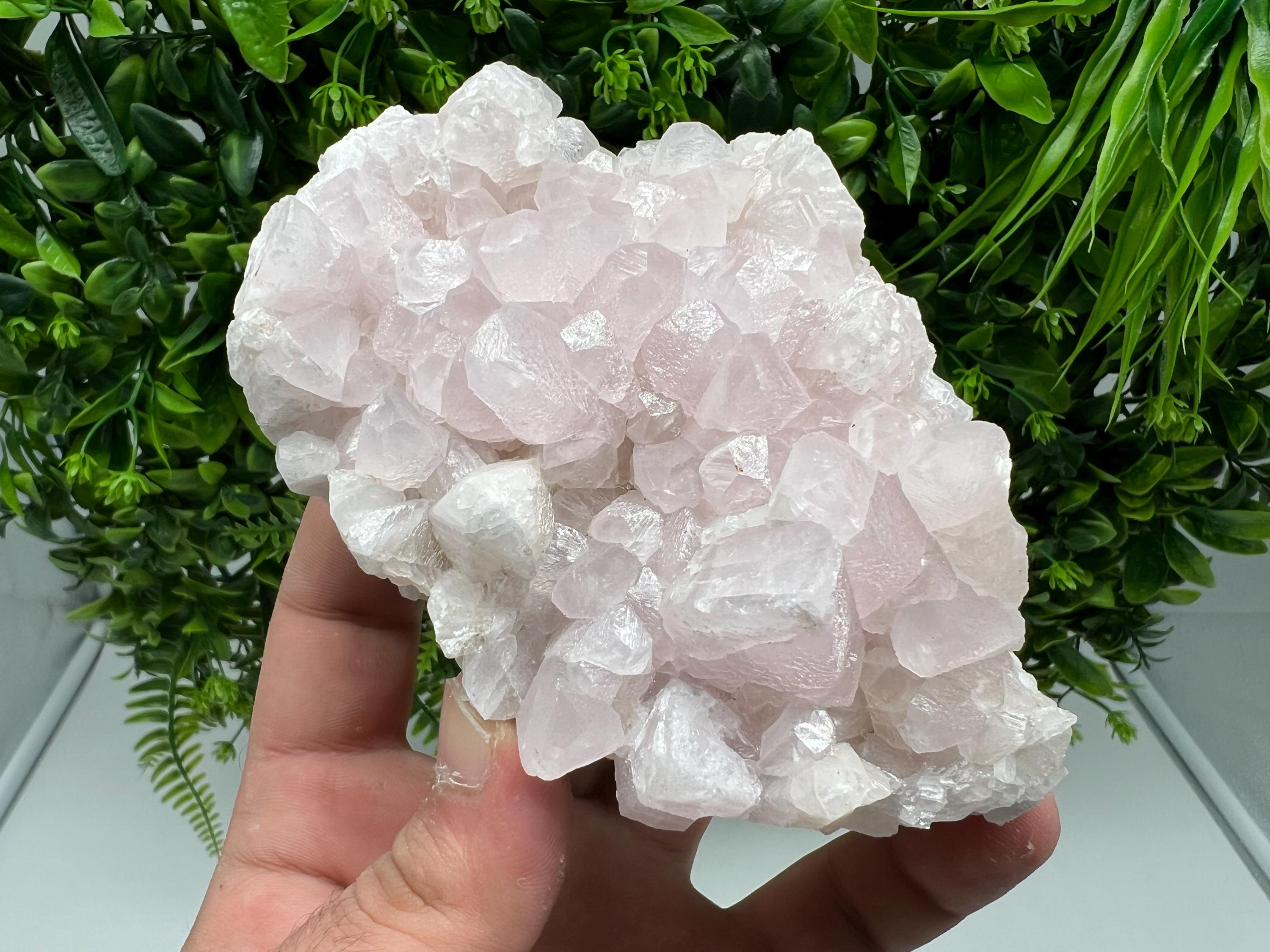 UV Reactive Mangano Calcite Crystal: Androvo Mine, Bulgaria