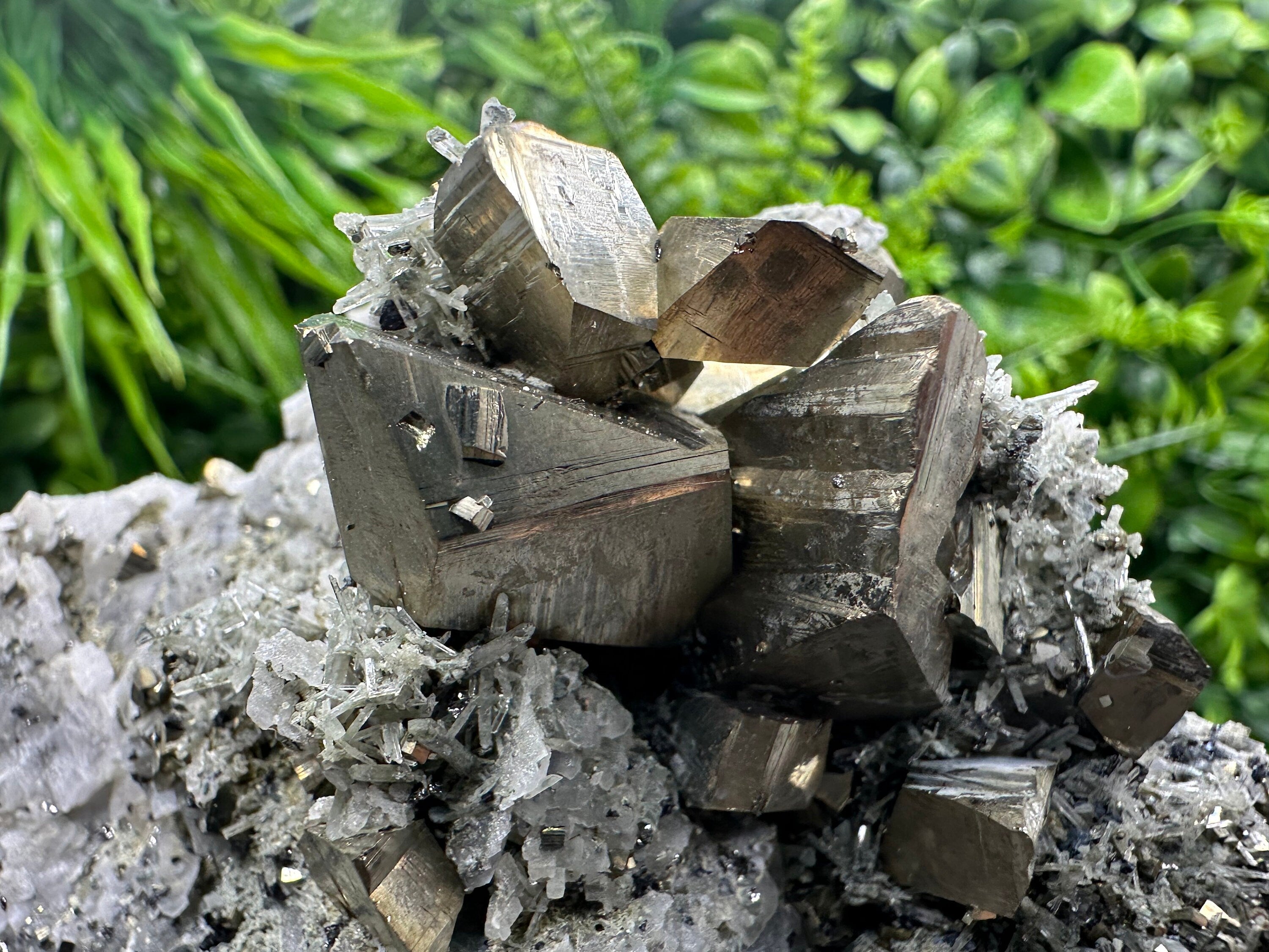 Crystallized Pyrite on Quartz, Madan Bulgaria, Home Decor