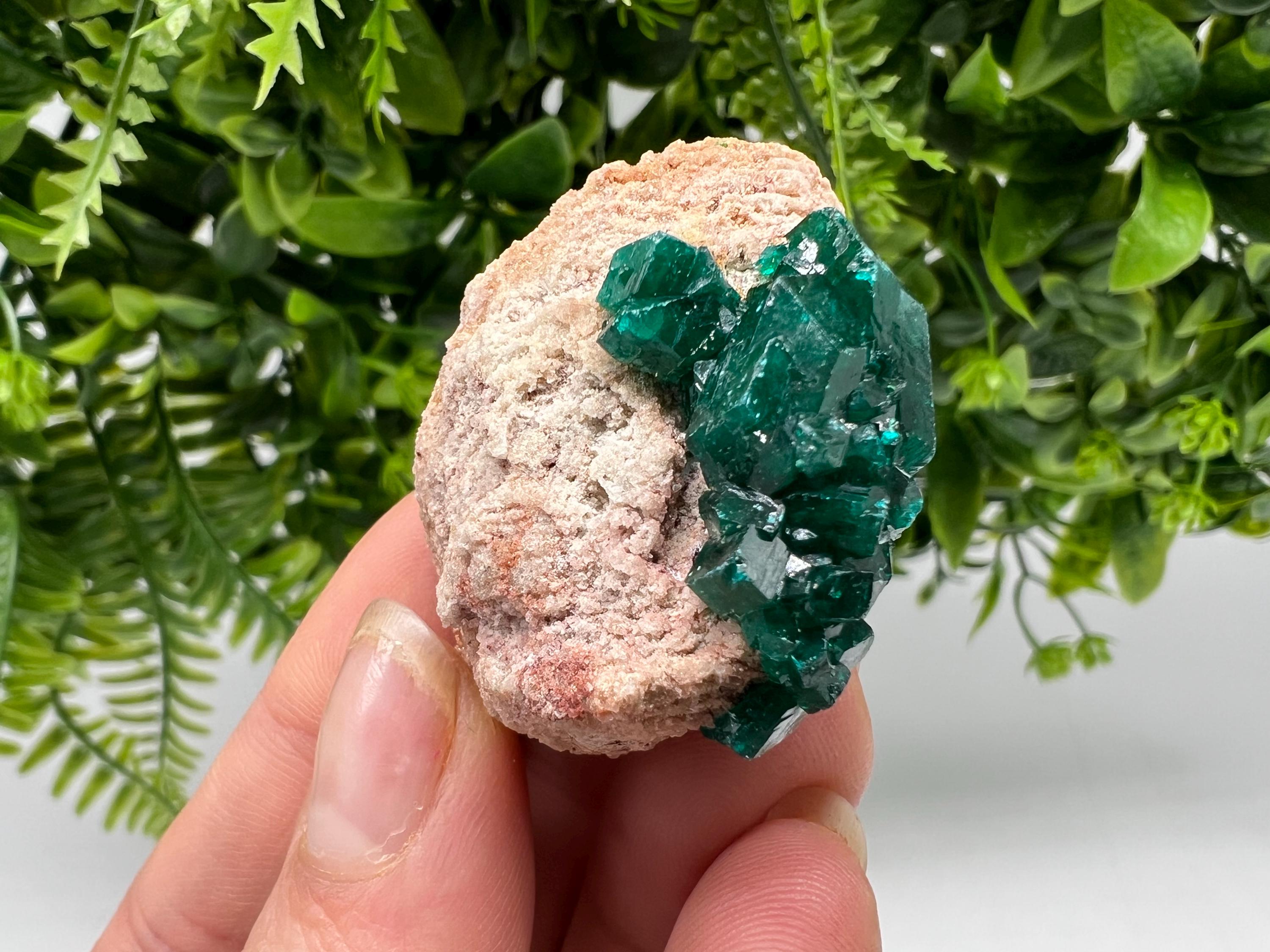 Stunning Green Dioptase from Sanda Hills,Mindouli,Pool Department,Mindouli District,Congo,green Dioptase,Dioptas Crystal,Dioptase collecting
