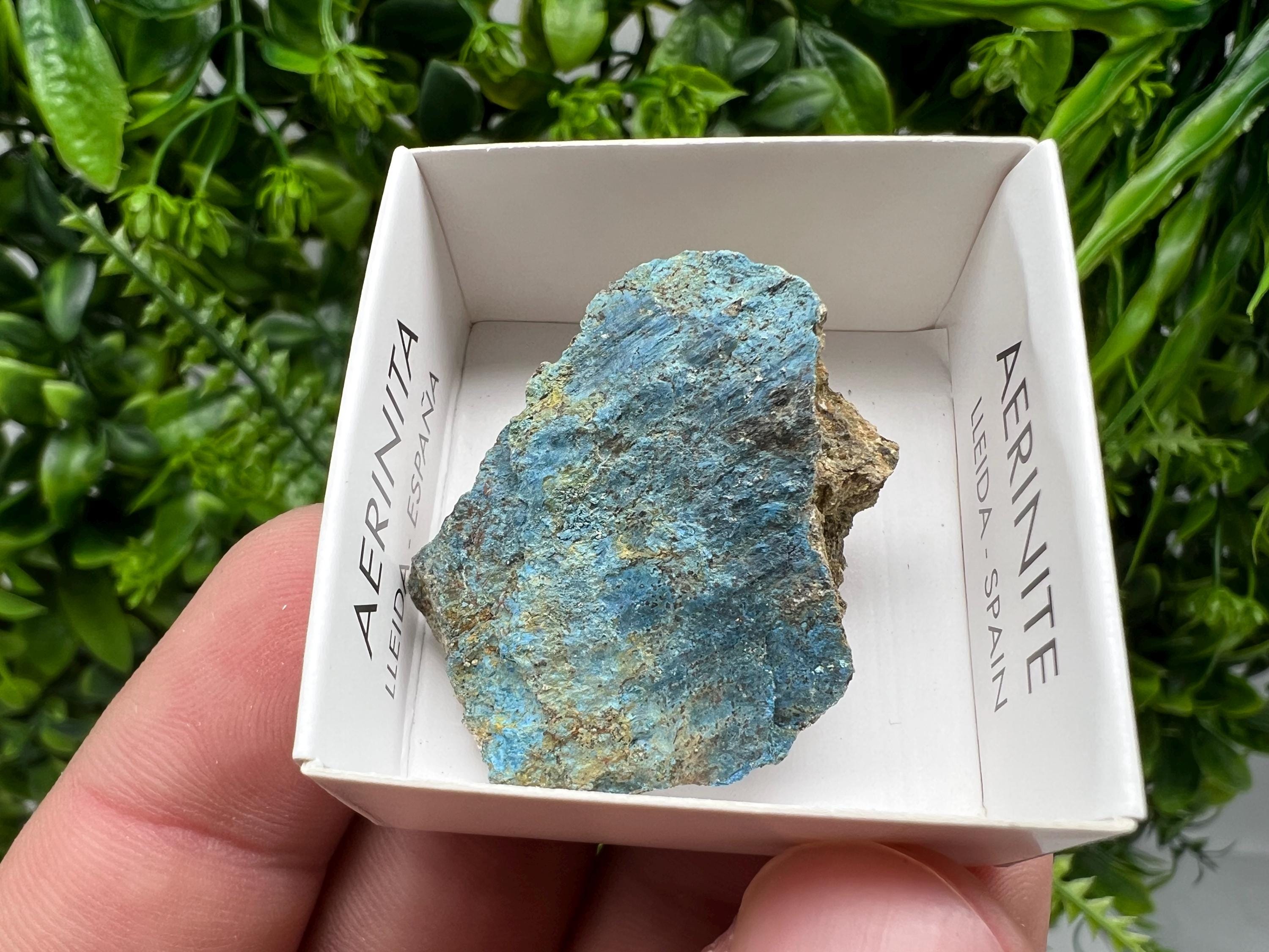Rare Raw Aerinite Crystal, Mineral Specimen from Lleida, Spain