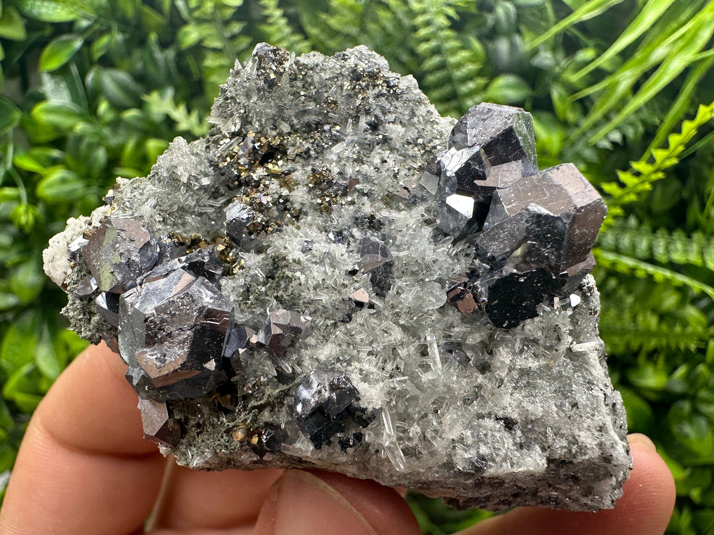 Galena Spinel Law Crystal on Quartz, Chlorite Mineral Specimen