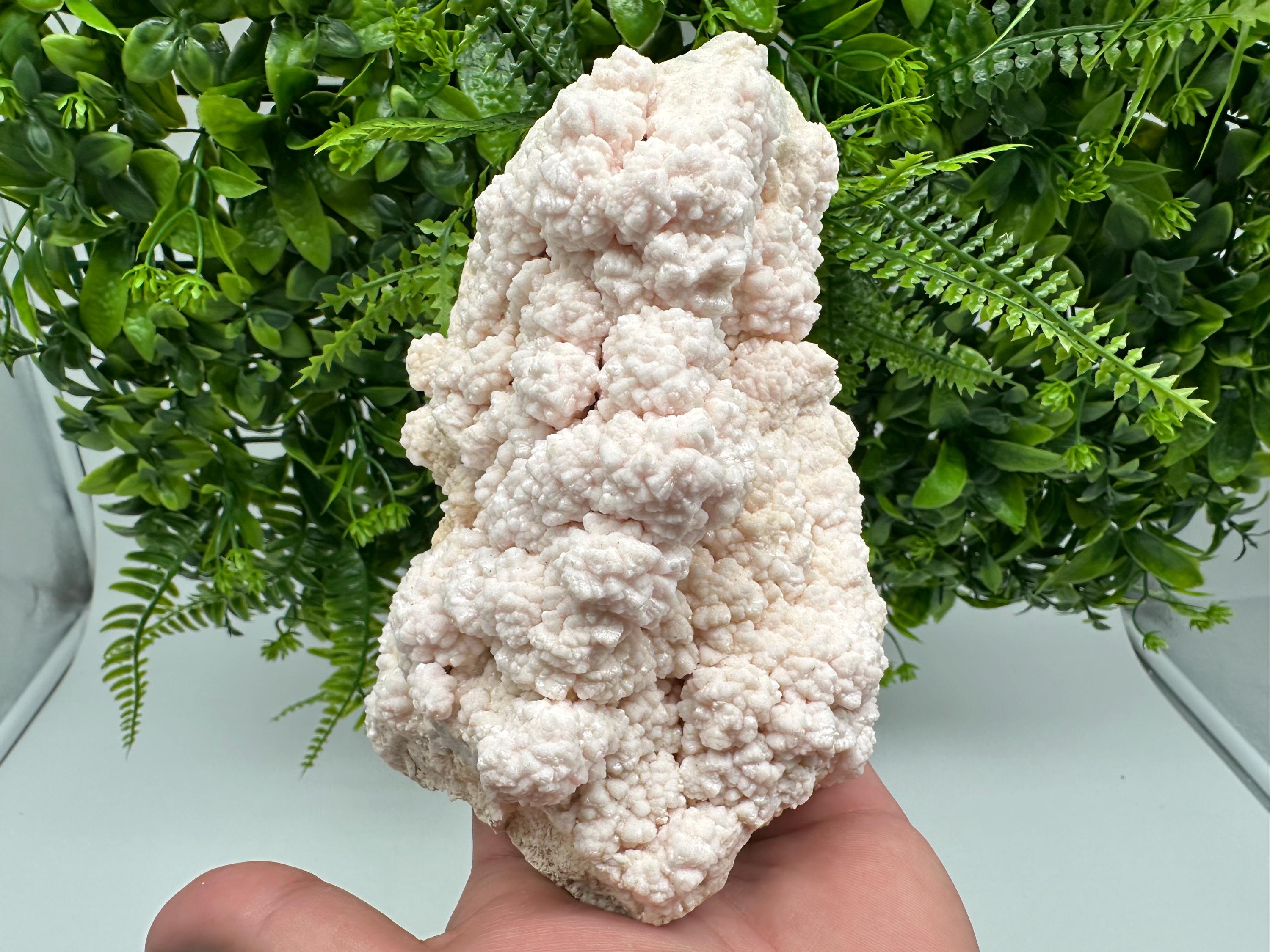 Pink Manganocalcite Specimen, Krushev dol Mine, Bulgaria