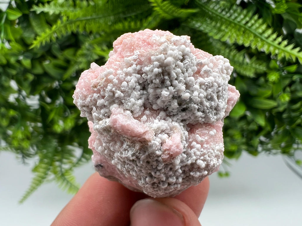 Rare Rhodochrosite with Calcite, Starnica Mine, Bulgaria