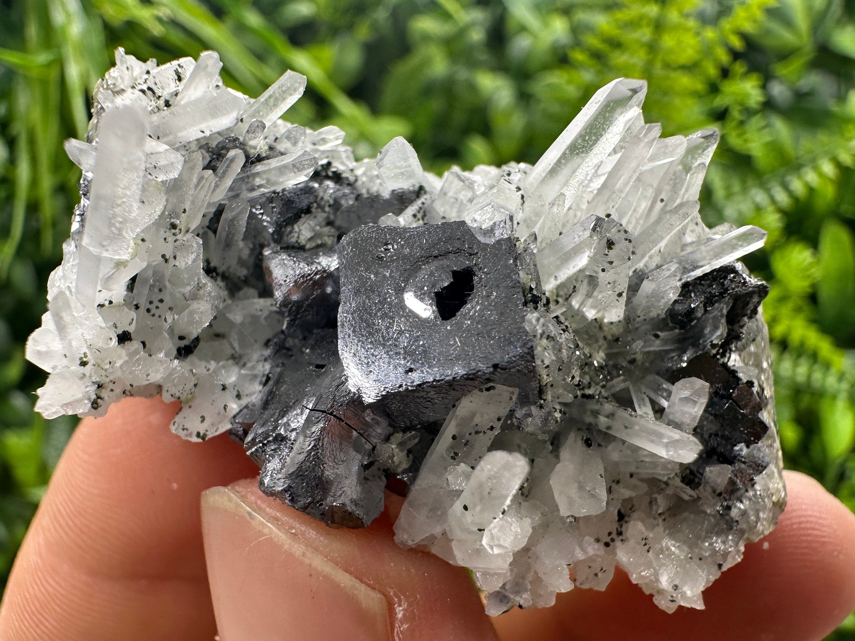 Galena on Quartz Mineral Specimen, Bulgaria Origin