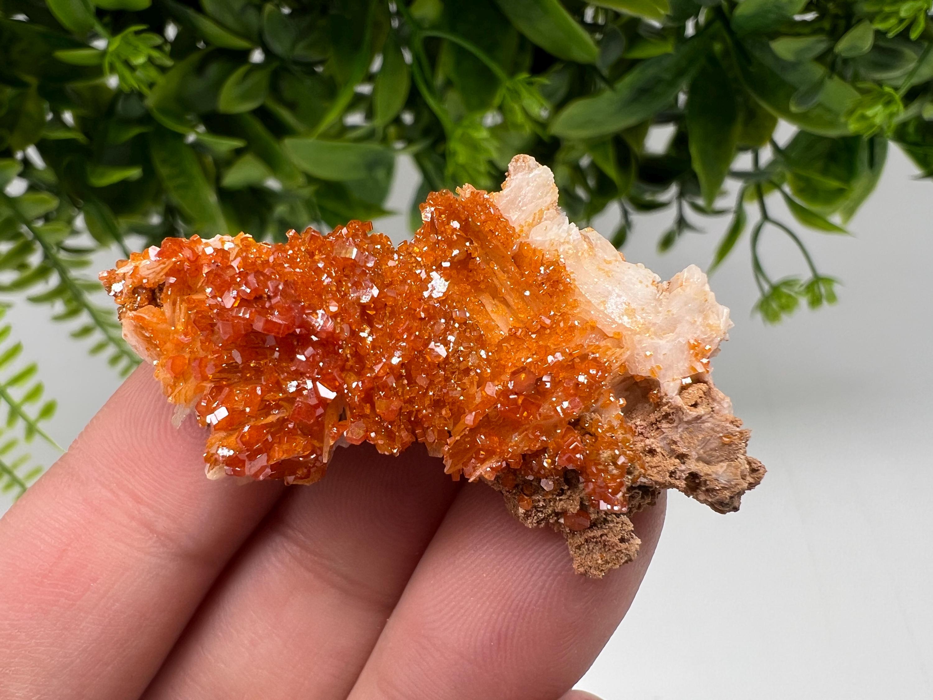 Red Vanadinite on Barite from Marocco,crystal minerals Speciment cluster Vanadinite crystal Vanadinite Geology Vanadinite cluster minerals