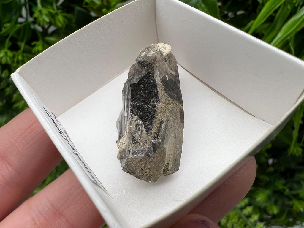Rare Fedenstock Smoky Quartz Point, Swiss Mineral Specimen (40mm)