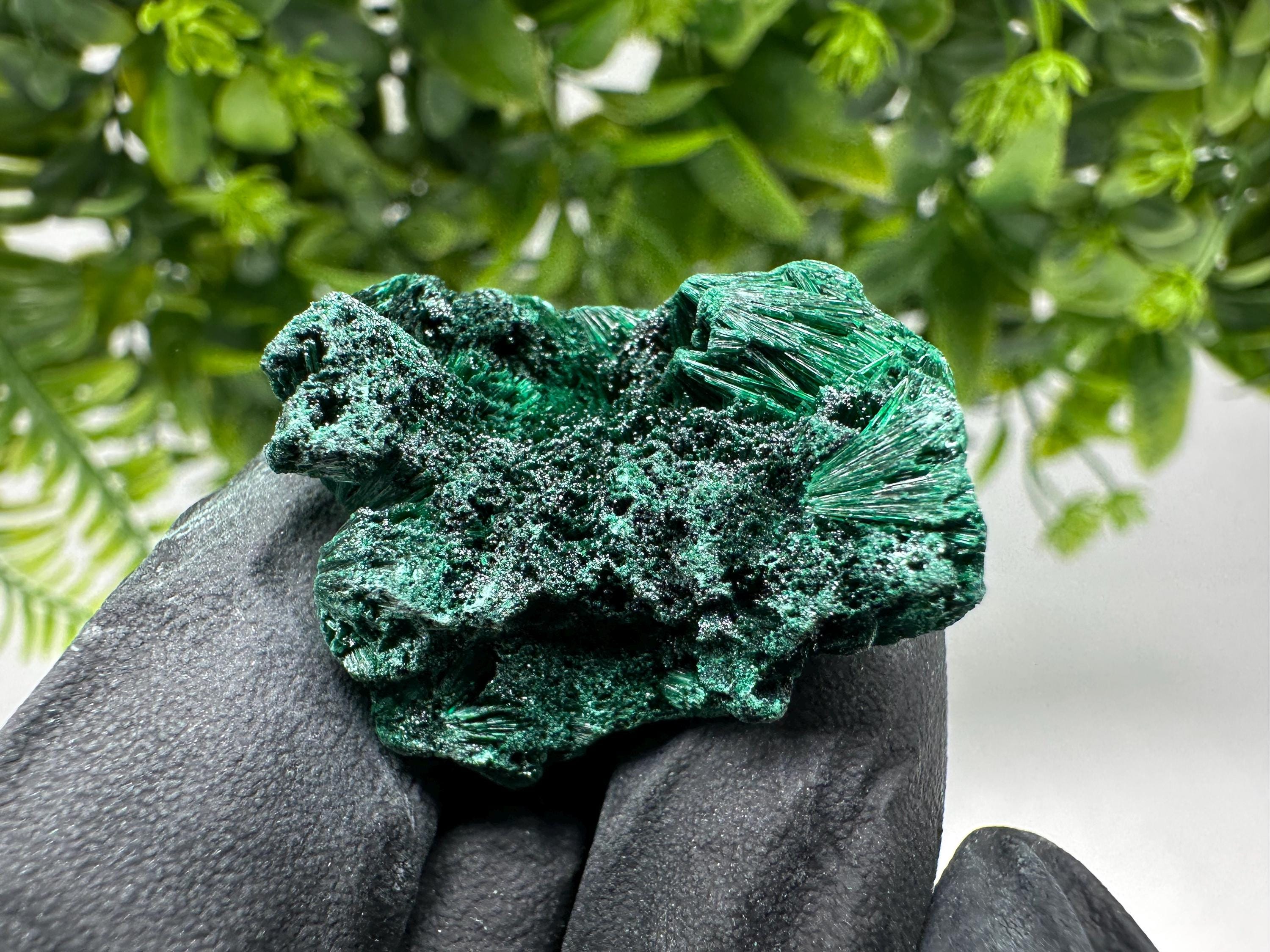 Malachite Crystal from Congo,Minerals,Crystals from Congo,Green Malachite, Malachite,Natural Malachite,Malachite Stone,Chakra, Specimens