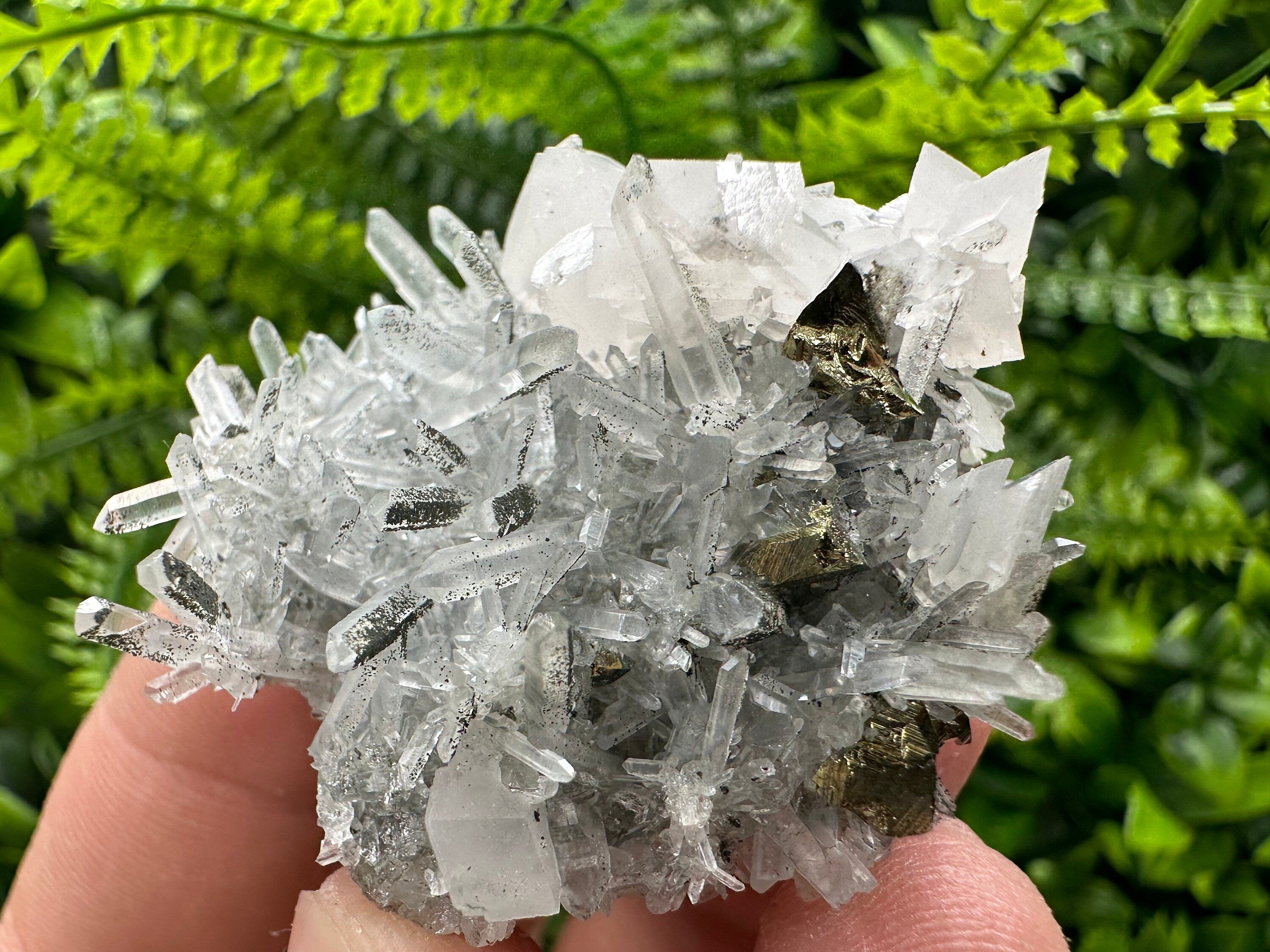 Chalcopyrite & Calcite on Quartz: Borieva Mine, Bulgaria
