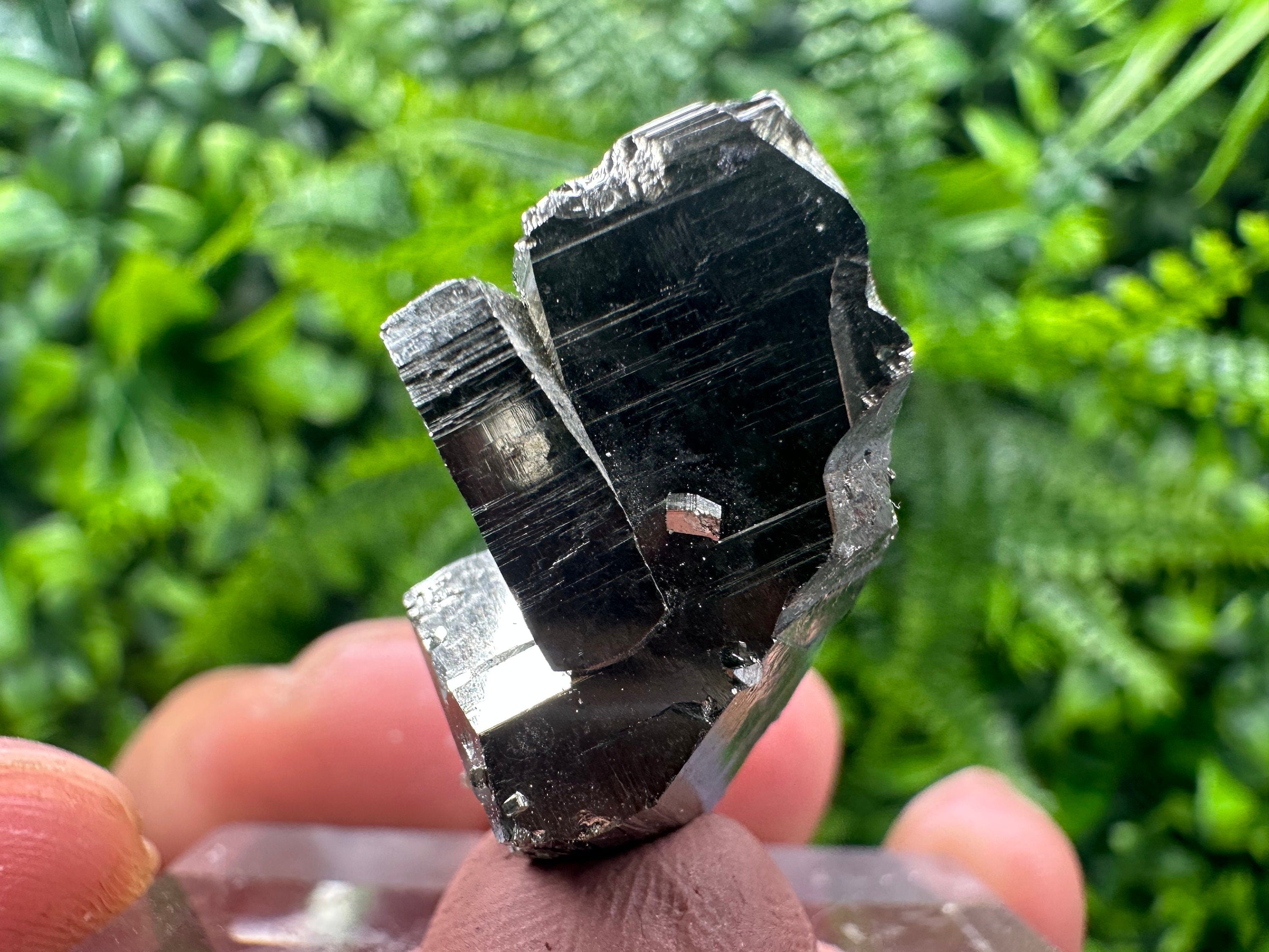 Rare Floating Pyrite Cluster, Borieva Mine, Home Decor Stone