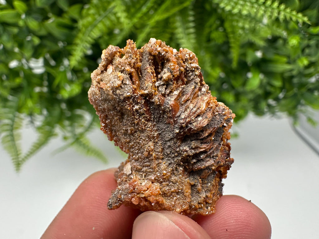 Red Vanadinite on Barite from Marocco,crystal minerals Speciment cluster Vanadinite crystal Vanadinite Geology Vanadinite cluster minerals