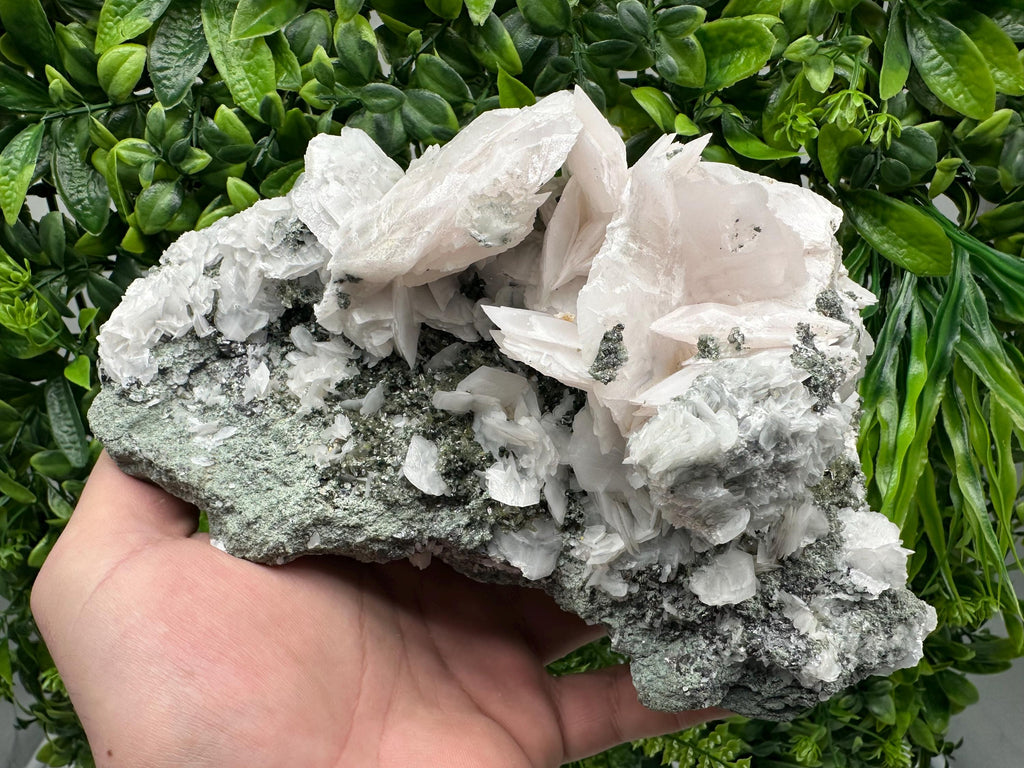 Mangano Calcite Wings on Chlorite Matrix, Bulgaria Mineral Specimen