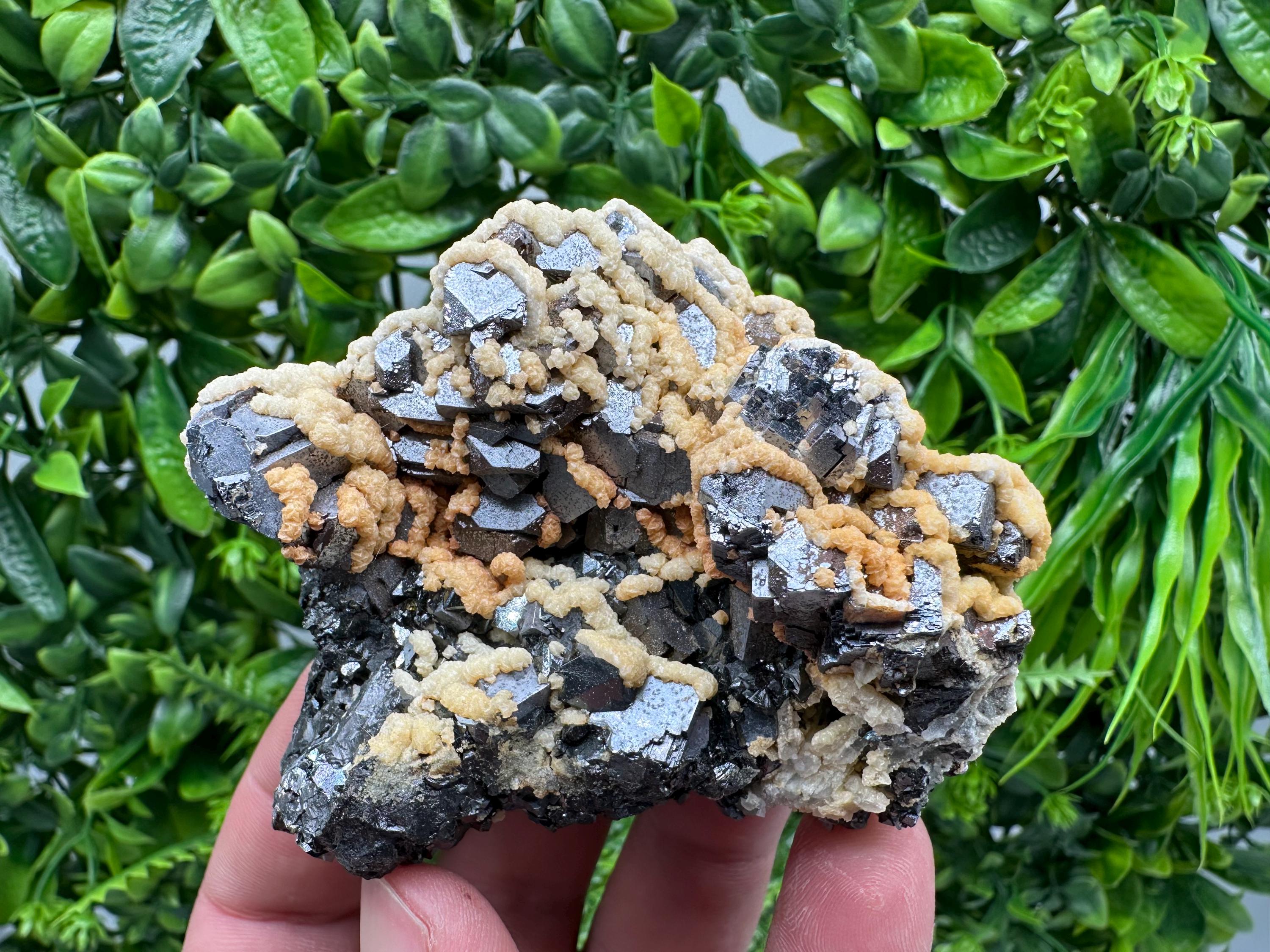 Galena with Dolomite Cluster, Krushev dol Bulgaria