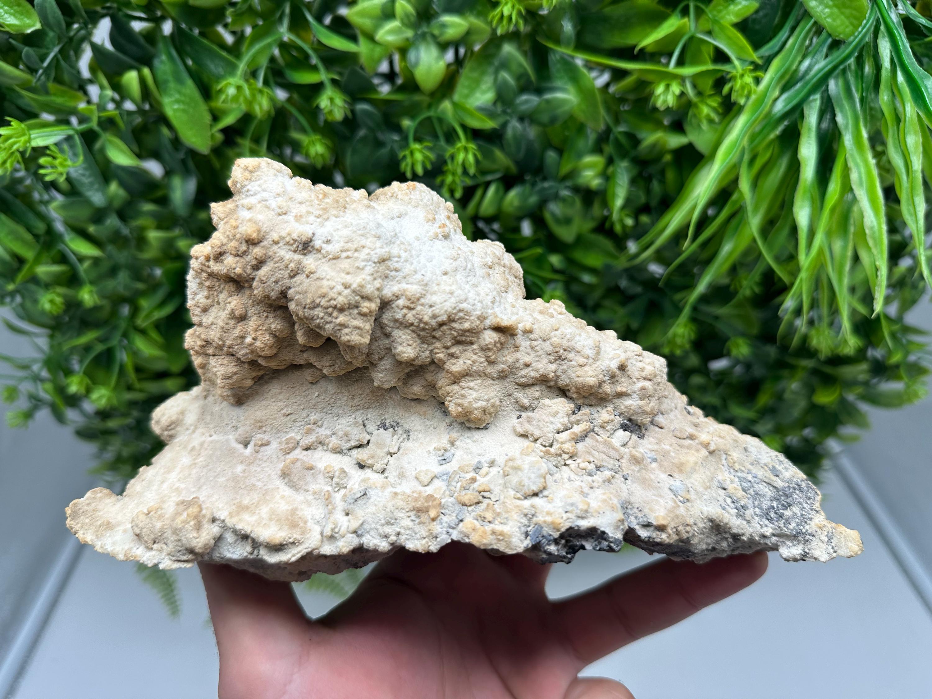 Aesthetic Sphalerite,Dolomite Krushev dol  mine Madan Bulgaria natural minerals souvenir crystal gift home decor stone rock