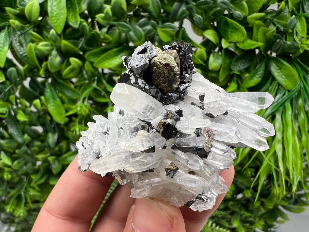 Wonderful Sphalerite Chalcopyrite on Green Quartz whit Hematite feom 9 th September mine,Bulgaria,natural,collection mineral specimen,gift