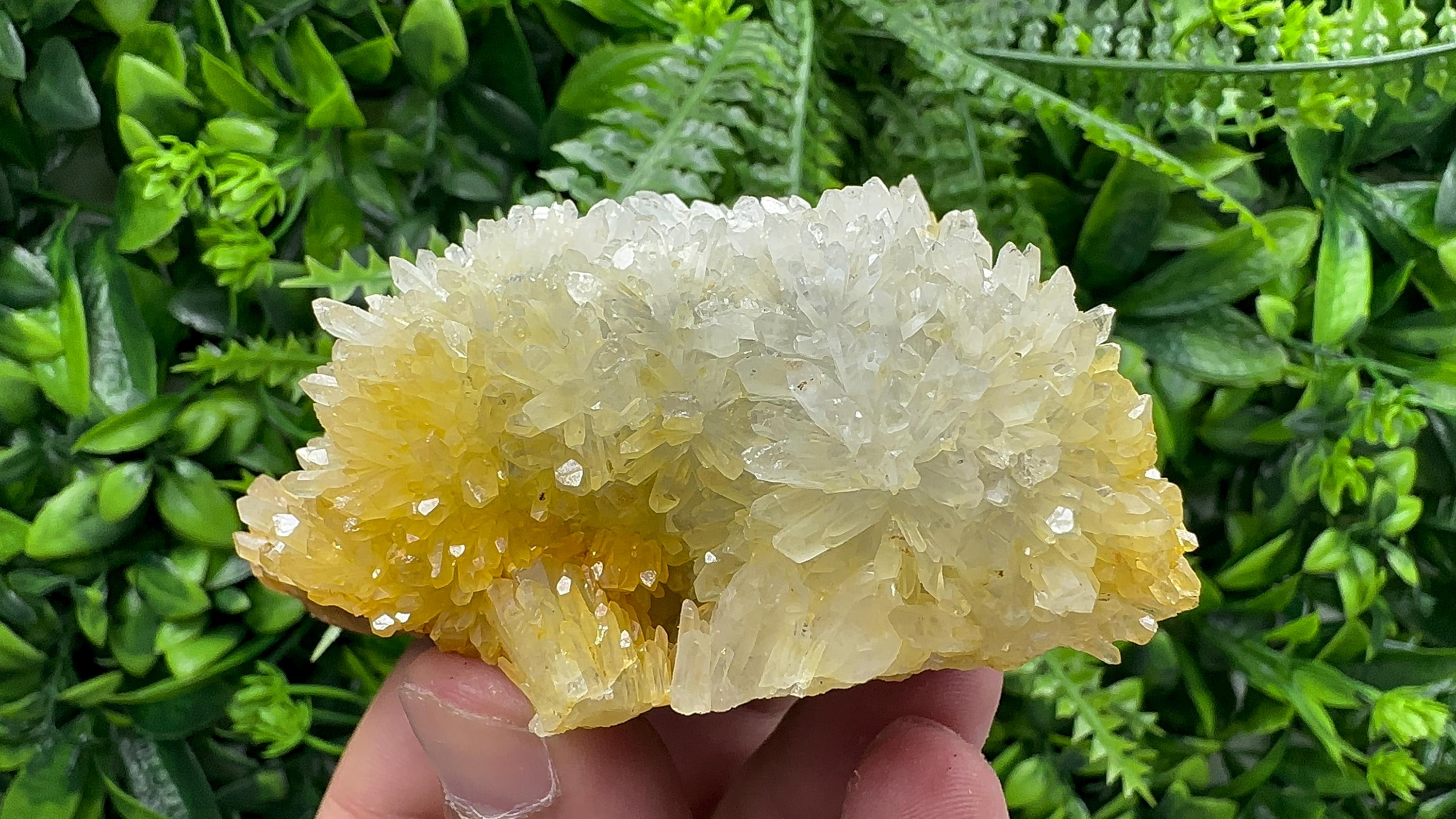 Quartz with Limonite: Natural Crystal Home Decor (10/6.5/4 cm)