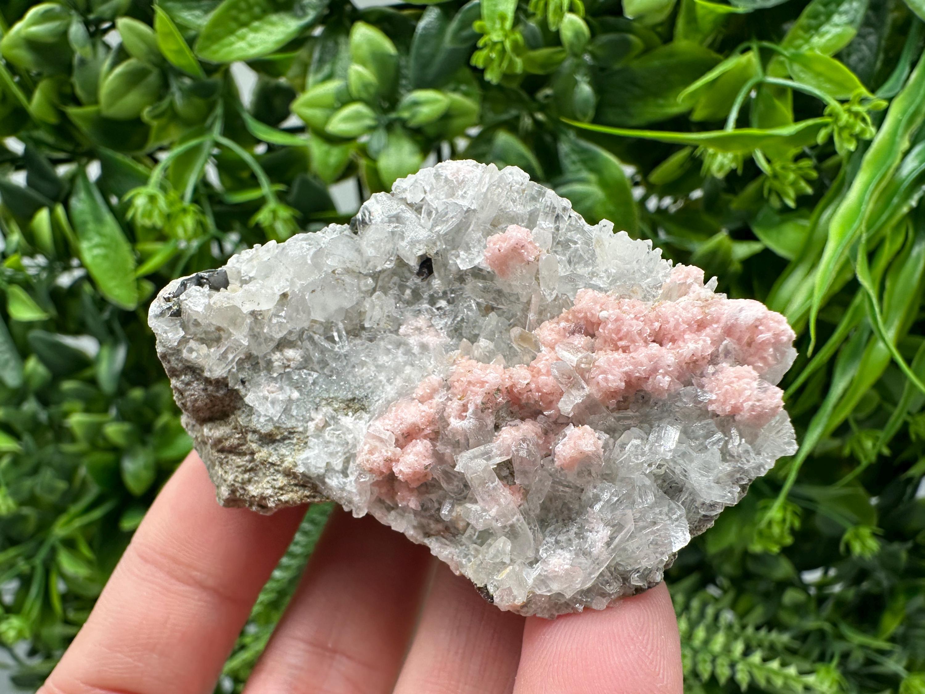 Pink Rhodochrosite Crystal: Starnica Mine, Bulgaria, Home Decor