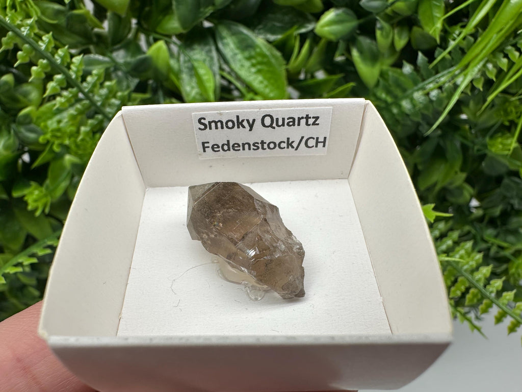 Rare Fedenstock Smoky Quartz Point, Swiss Mineral Specimen (30MM)