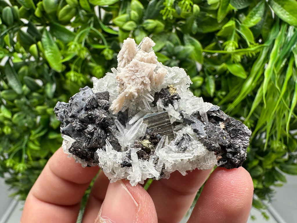 Golden Pyrite,Sphalerite from 9th September mine,Madan,Bulgaria,natural,collectible mineral specimen,home decor crystal,Pyrite cluster,