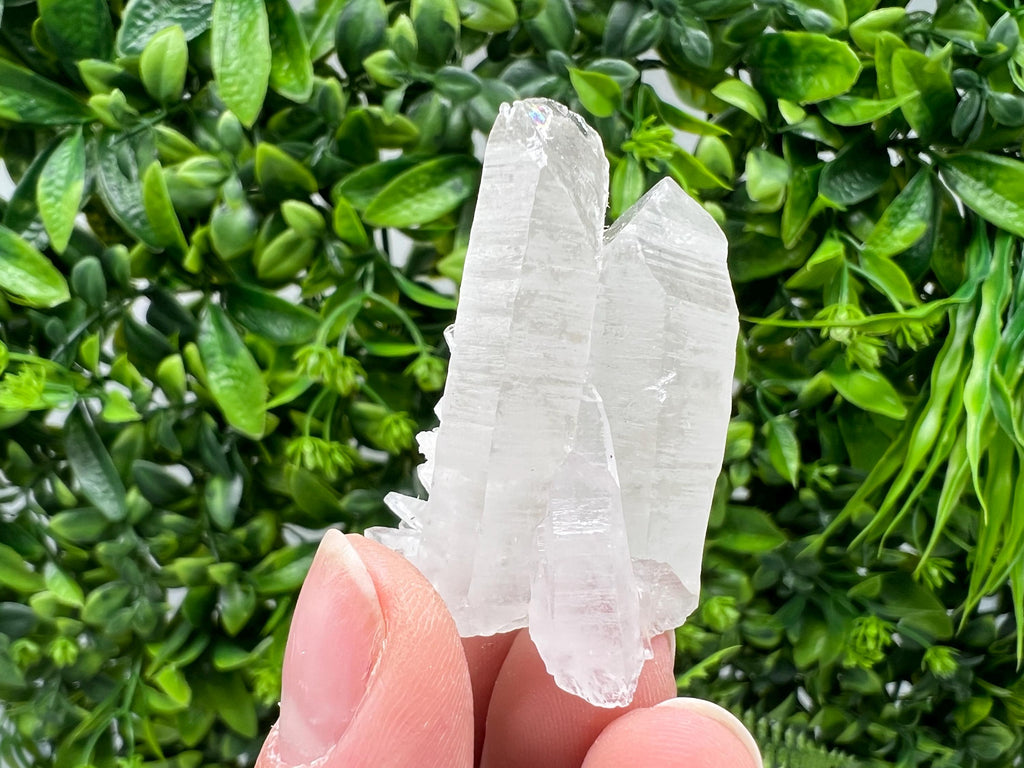 Wonderful Transparent Quartz with Pyrite, from Krushev Dol Mine, Bulgaria, natural minerals, collection crystal, home decor stone, gift, quartz cls