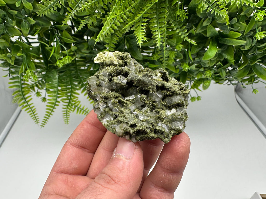 Rare Green Epidote with Quartz Crystals: Sparkly Rainbow Stone Decor