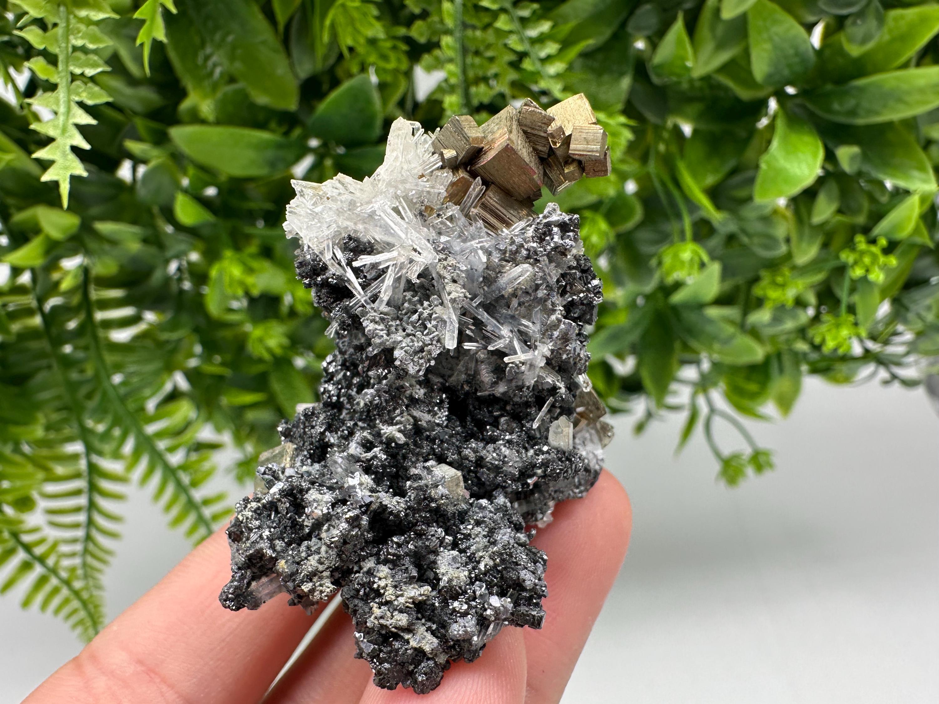 Pyrite on Green Quartz: Rare Crystal Mineral Specimen, Bulgaria